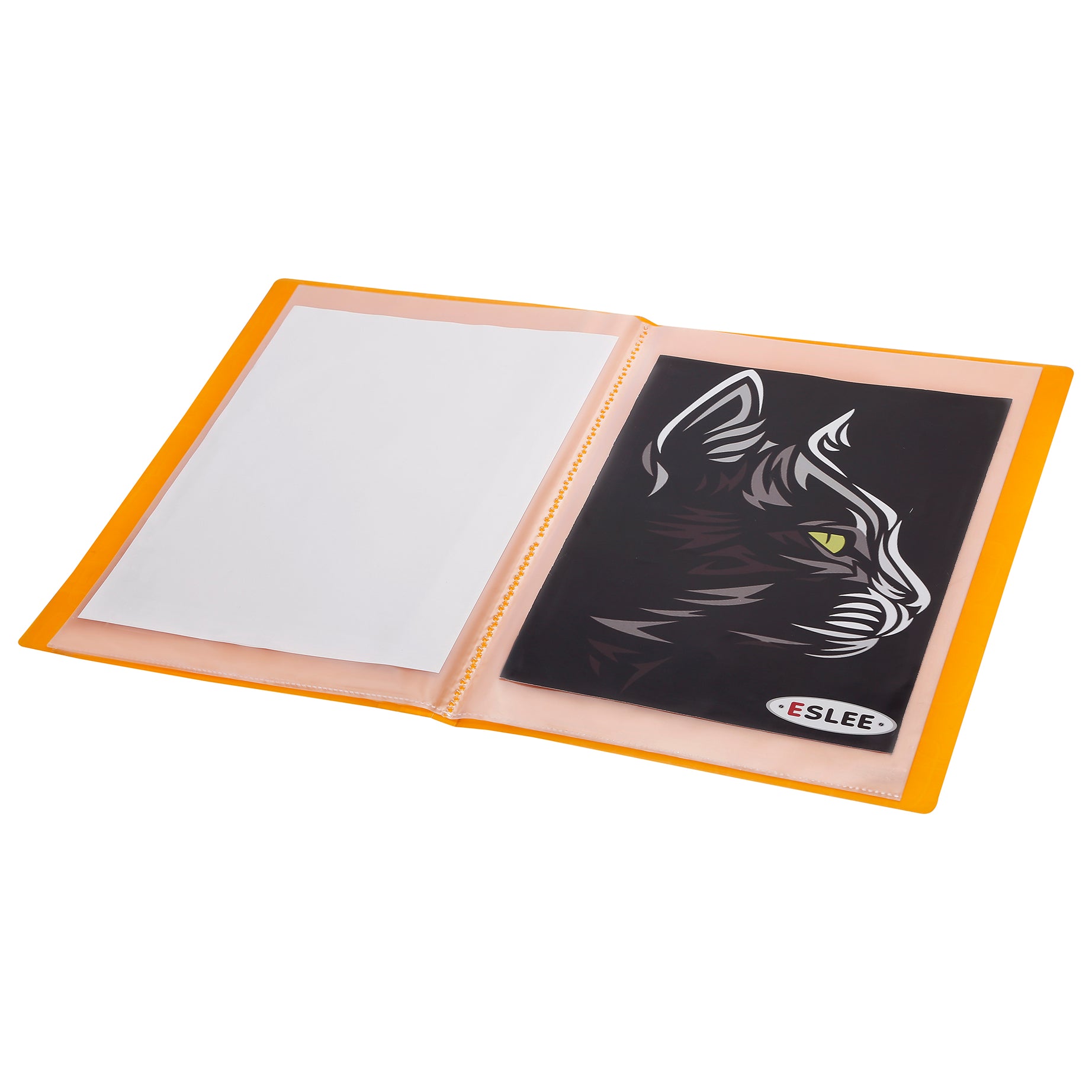 Eslee Square Cube Display File | 10 Pockets | A4 Size