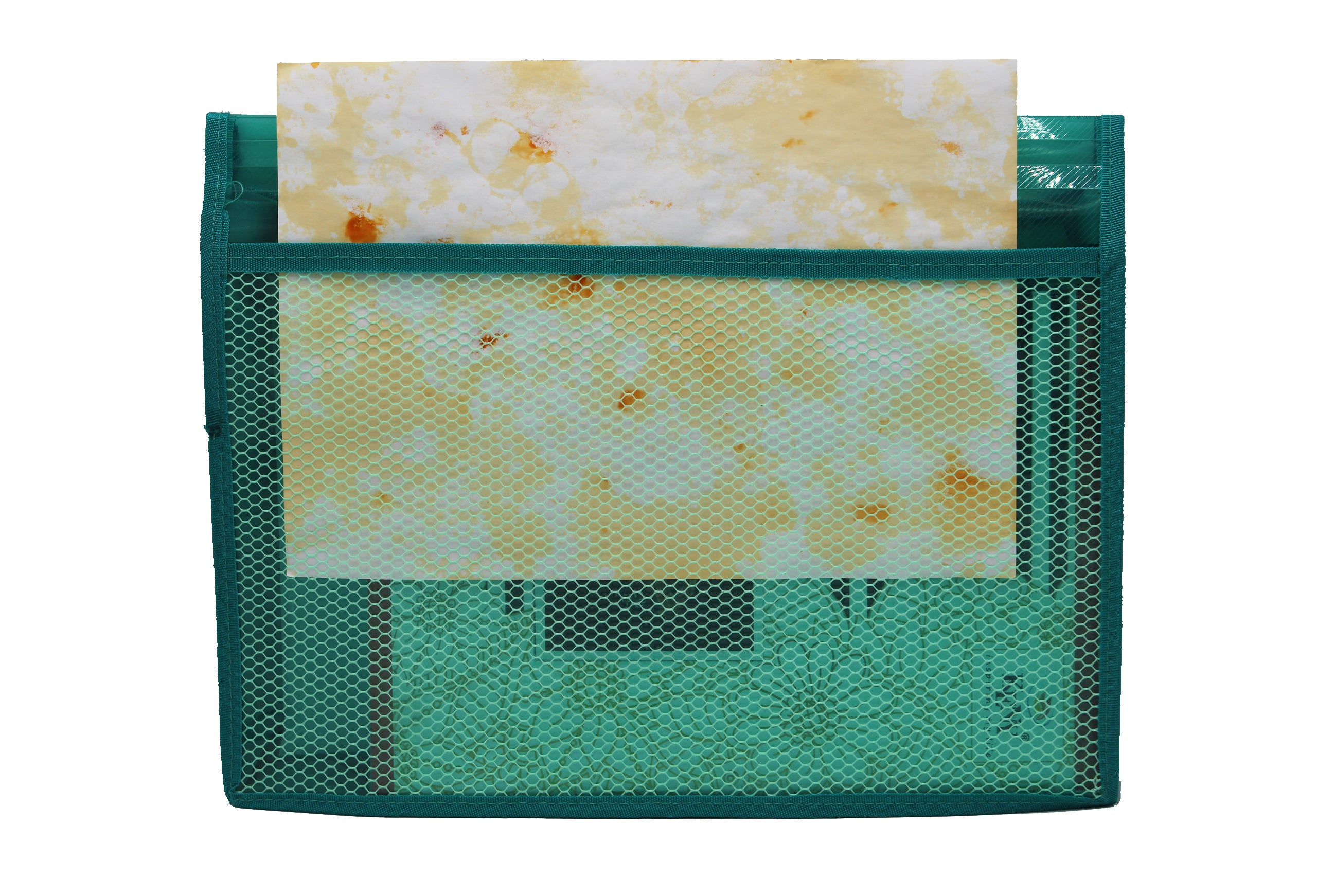 Keny Document Wallet With Net | Expandable Folder | FC Size