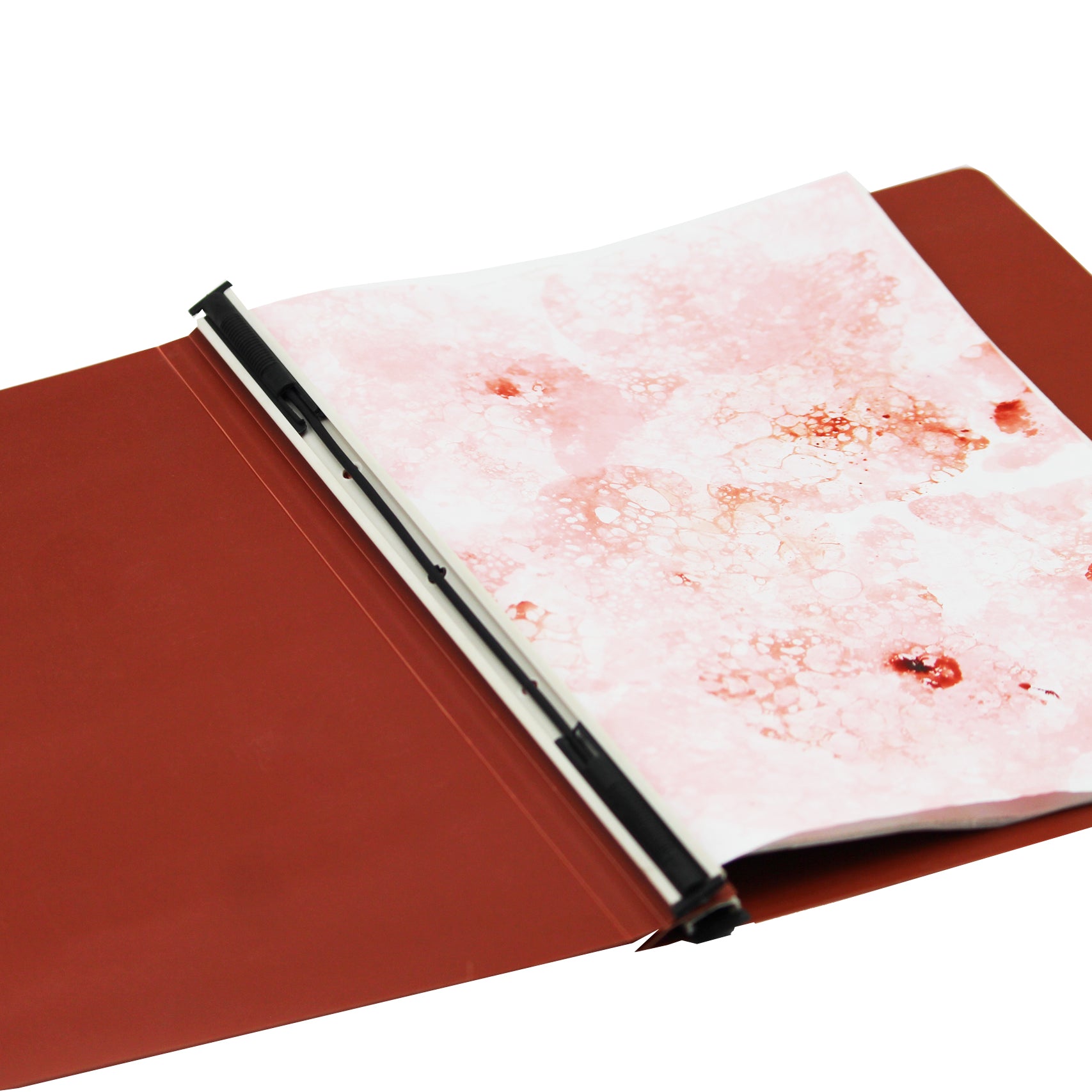 Keny Thick Computer  Data Binder File | Size 15 x 12 inches