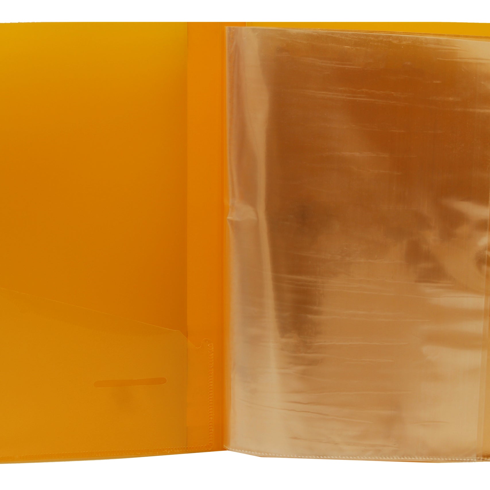 Eslee  Multi-utility Trasparent Display File | 20 Pockets |   FC  Size