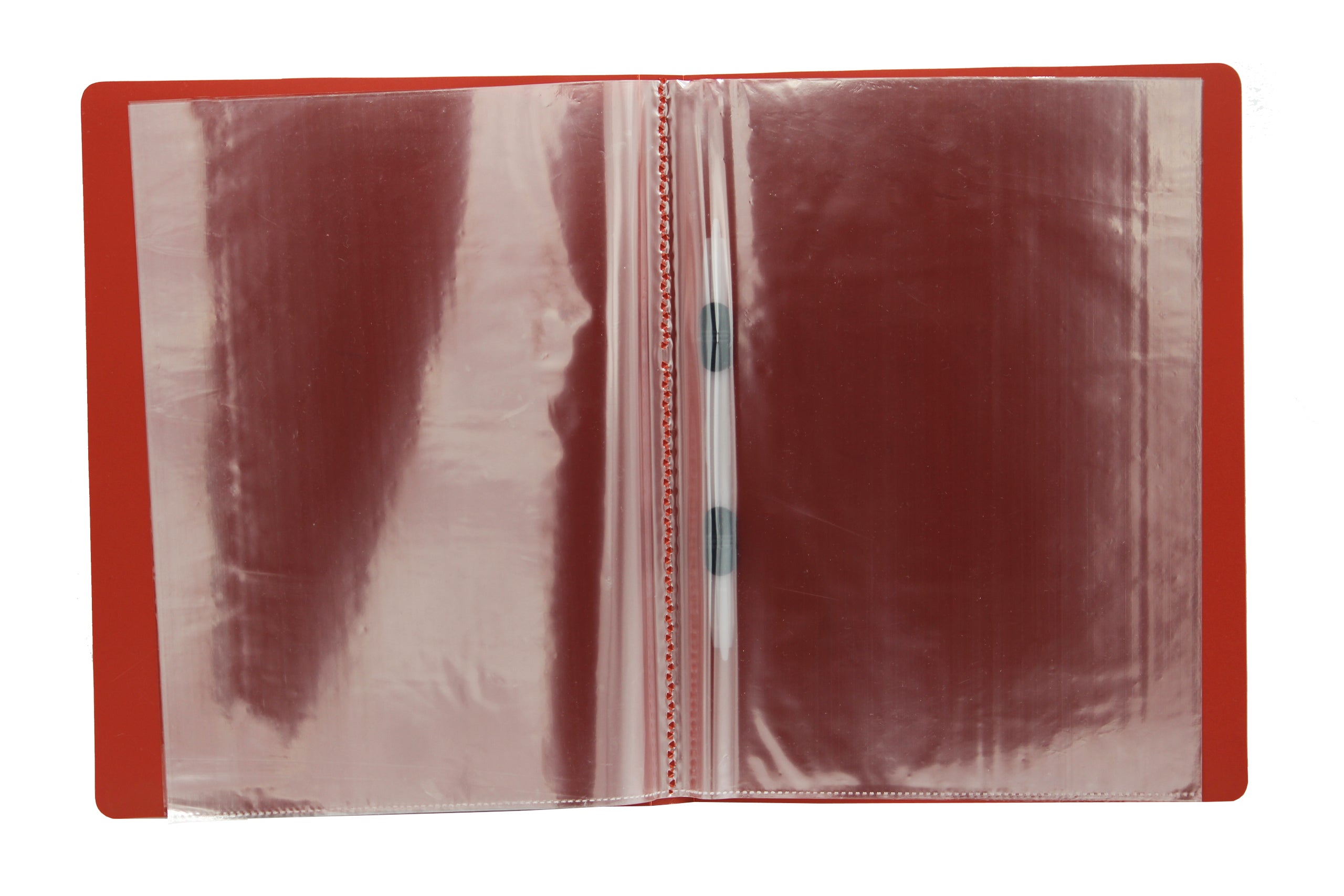 Keny Display File | 60 Pockets | A4 Size