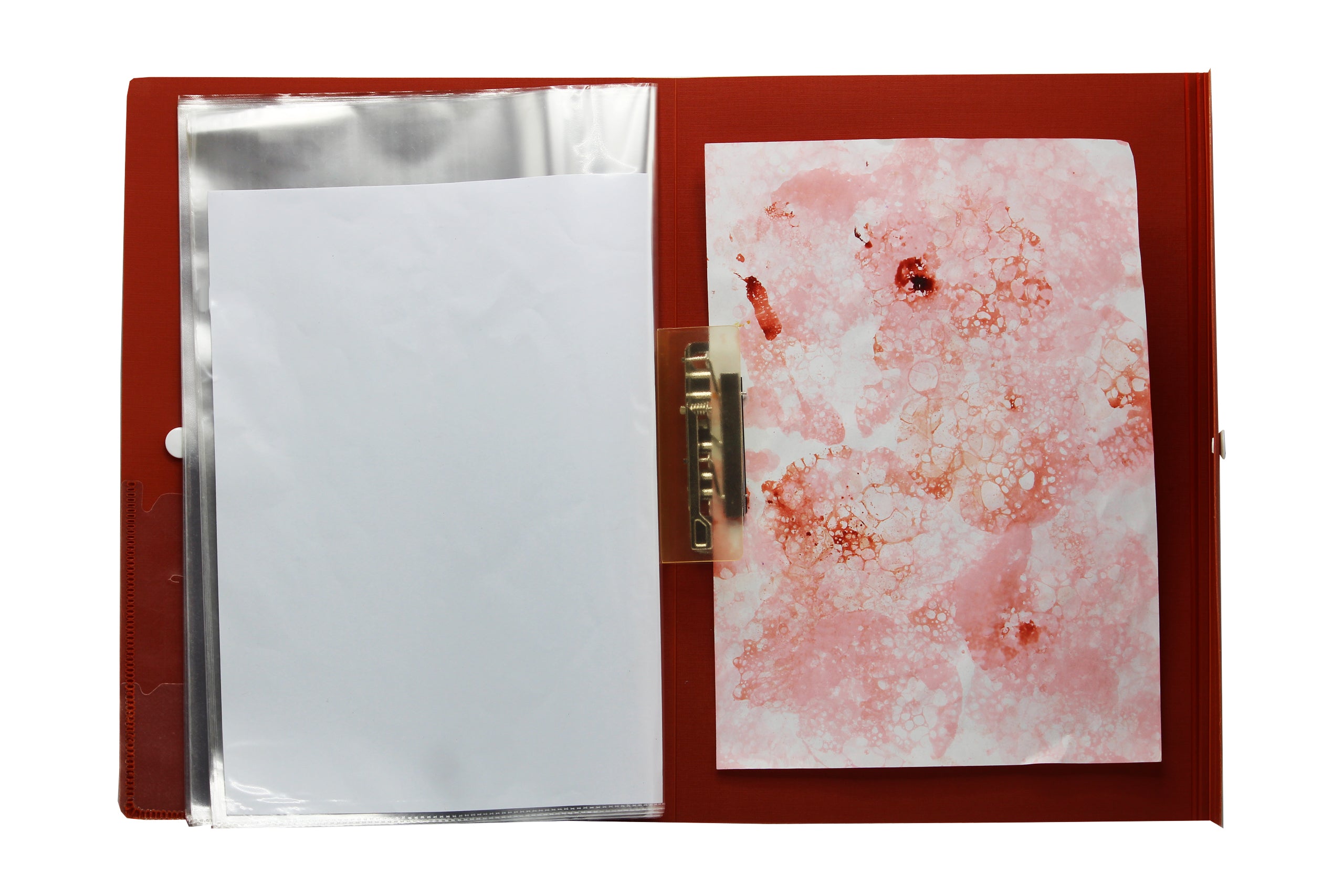 Keny Button Display File | Comes with Plastic Clip | 10 Folders