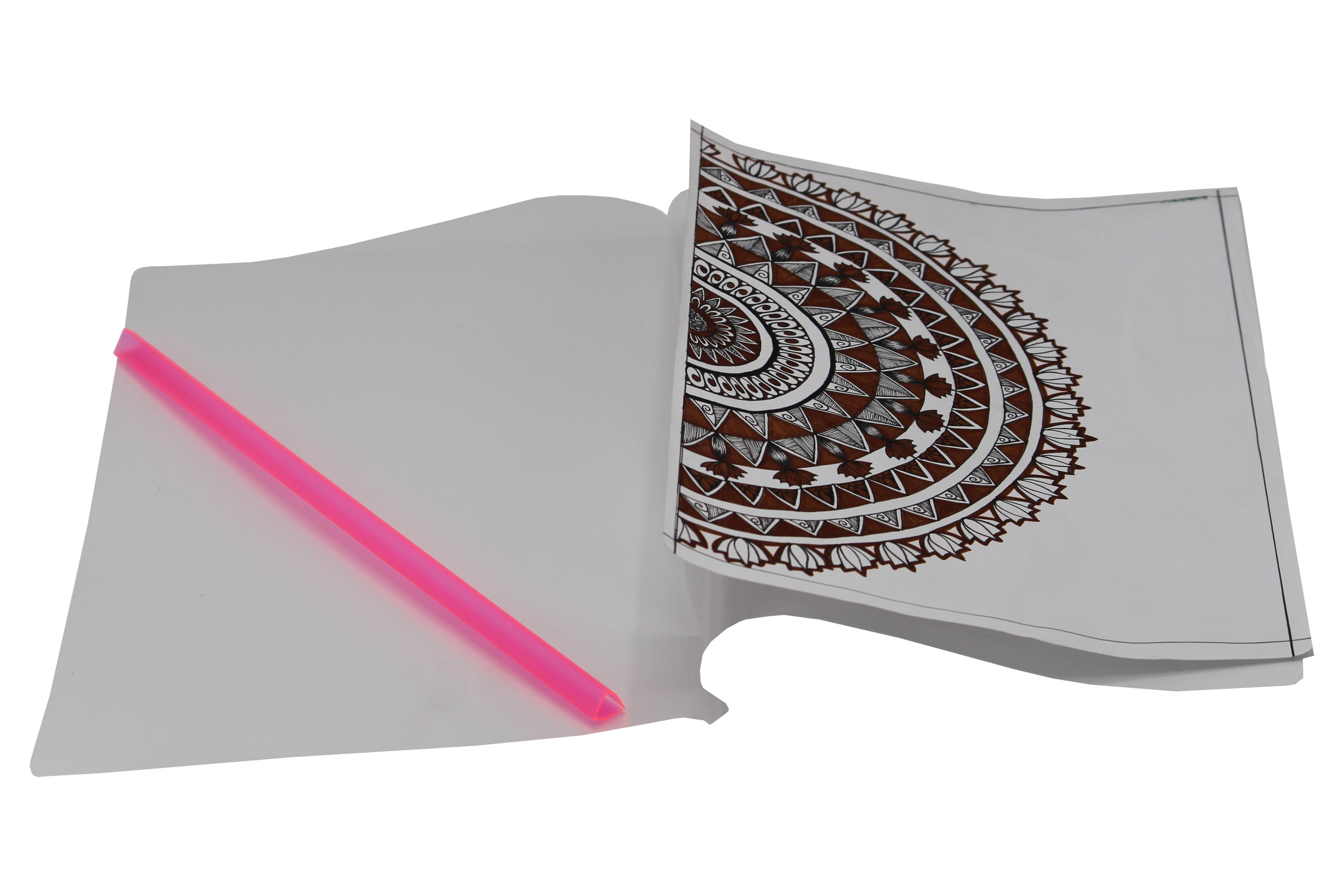 Keny Strip File | Report Cover | A4 Size | Pack Of 24