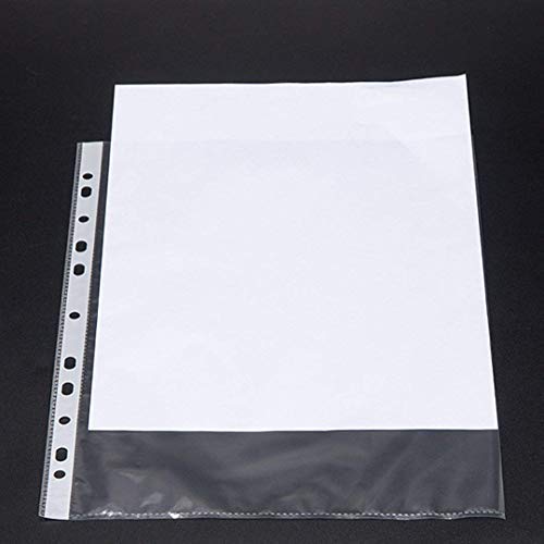 Keny Sheet Protector | Transparent 11 Hole Folder | 80 Microns | A3 Size | Pack of 50
