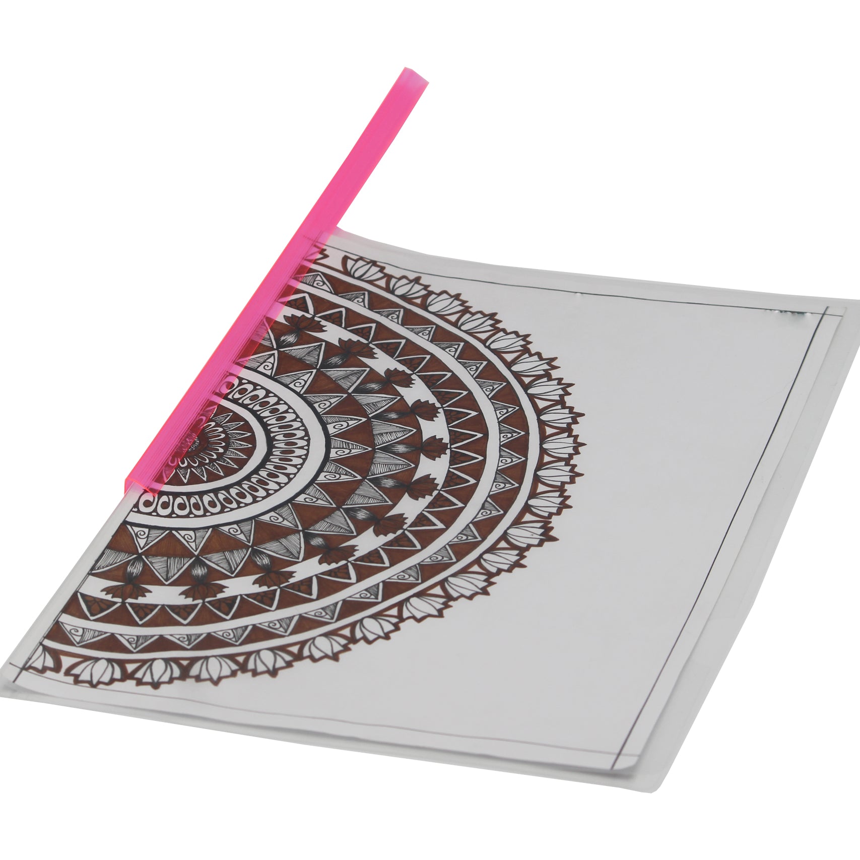 Keny Strip File | Report Cover | A4 Size | Pack Of 24