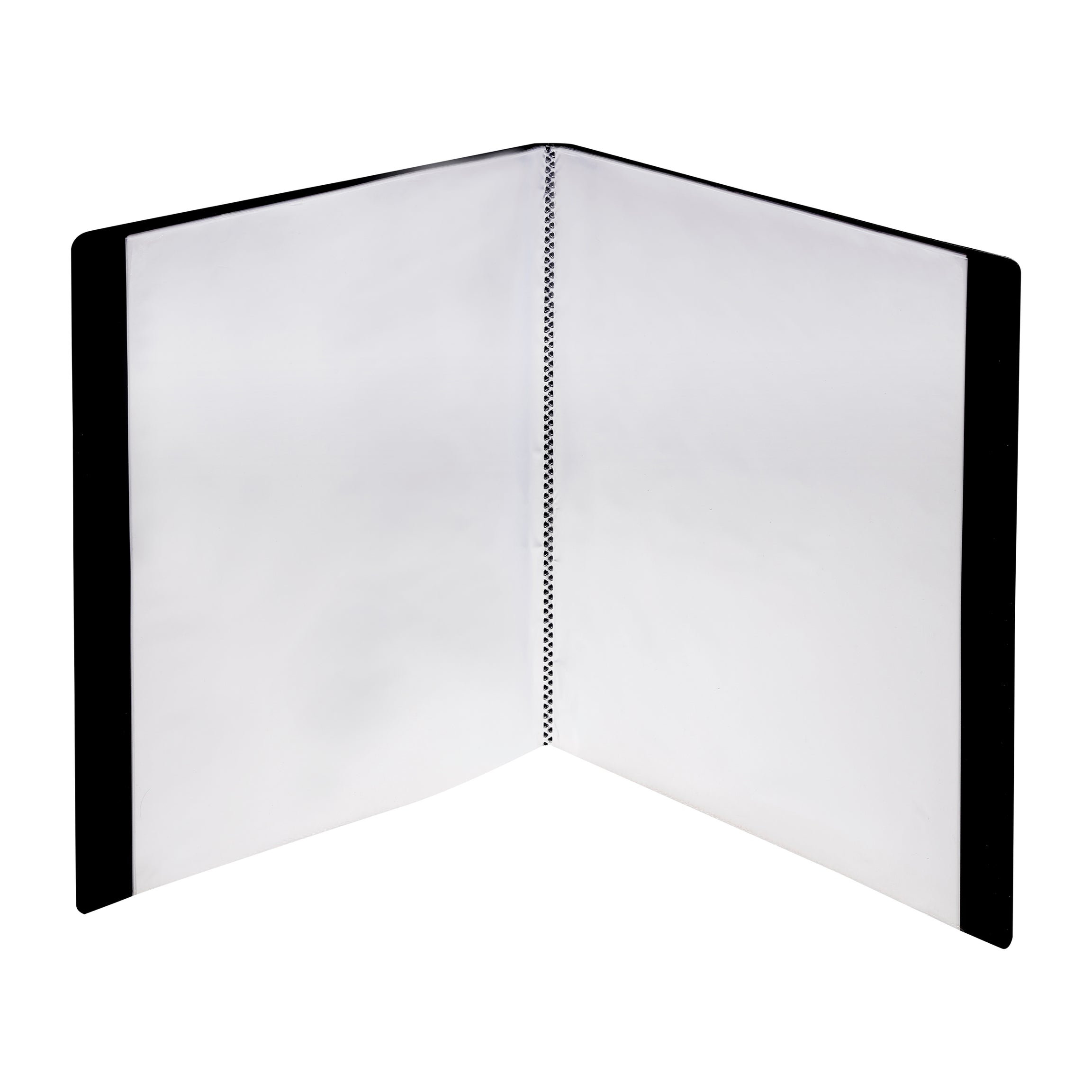Eslee Display File | 100 Pockets | FC Size