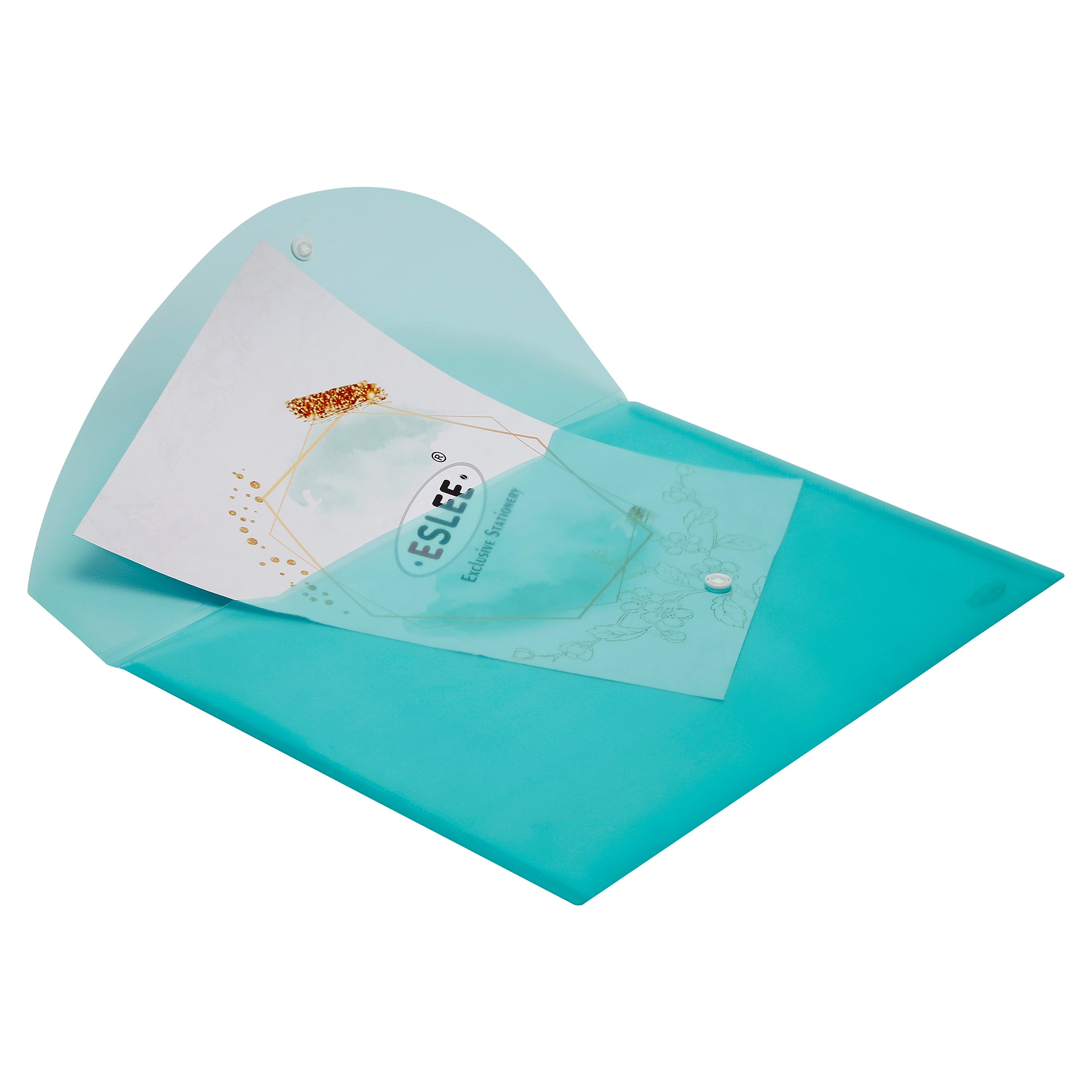 Eslee Transparent Envelope File | FC Size | Pack of 10