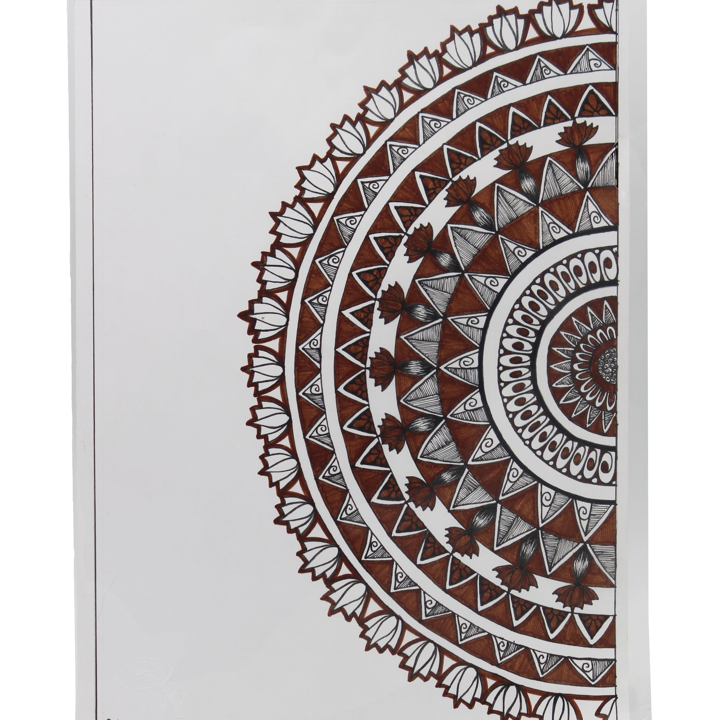 Keny L Folder | Standard Jackets | A4 Size | Pack of 20