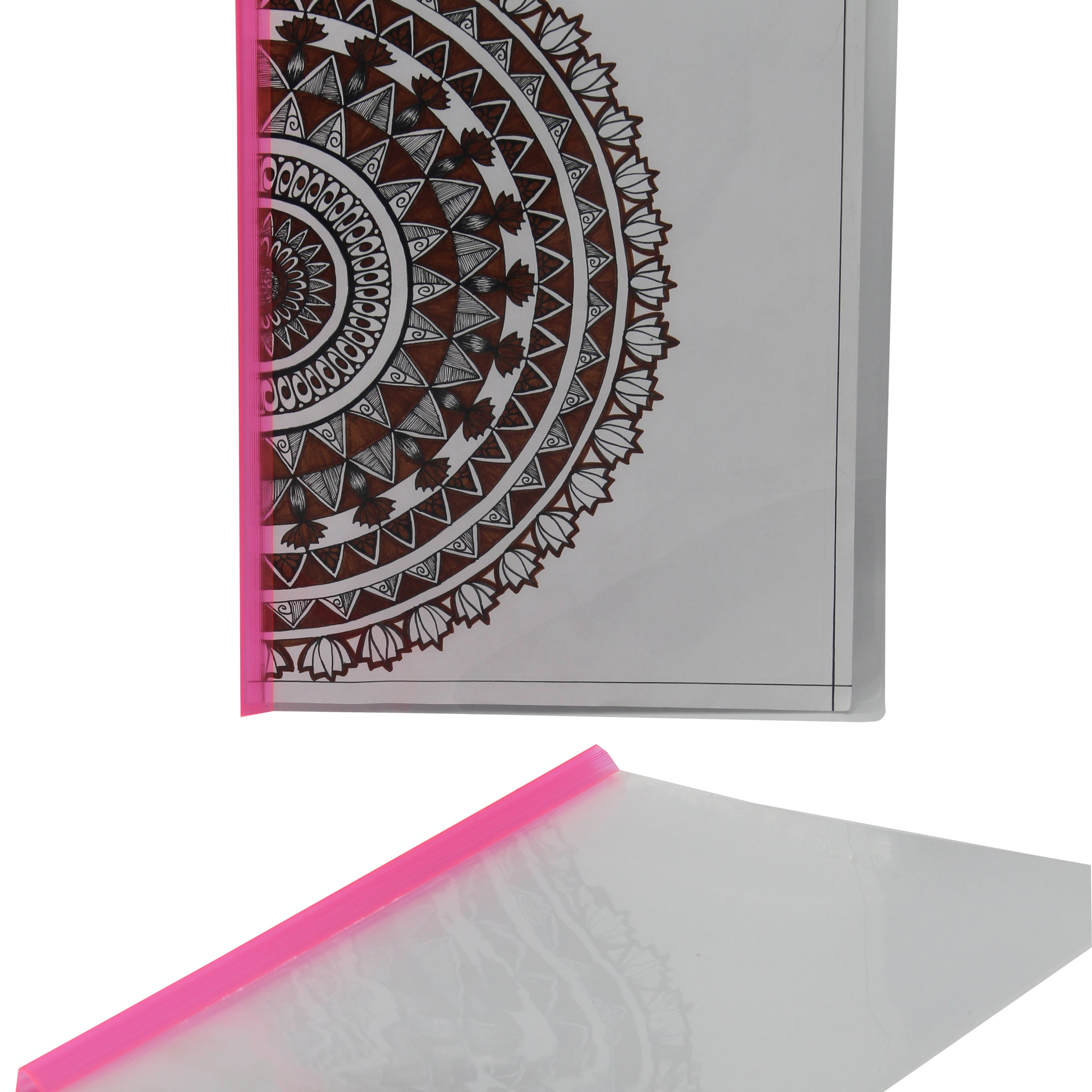 Keny Strip File | Thin Report Cover | A4 Size | Pack Of 12