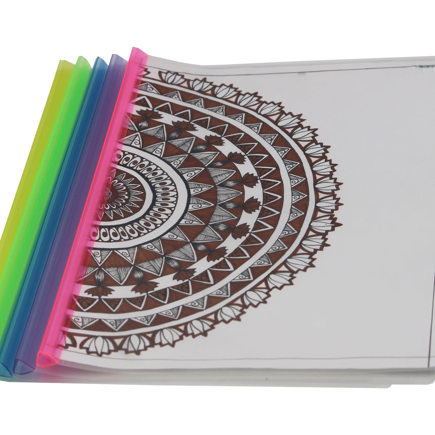 Keny Strip File | Report Cover | A4 Size | Pack Of 24