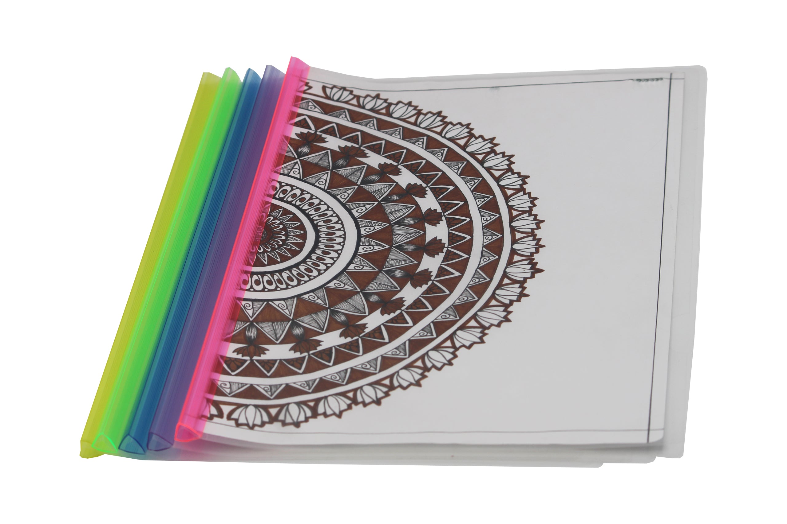 Keny Strip File | Report Cover | A4 Size | Pack Of 24