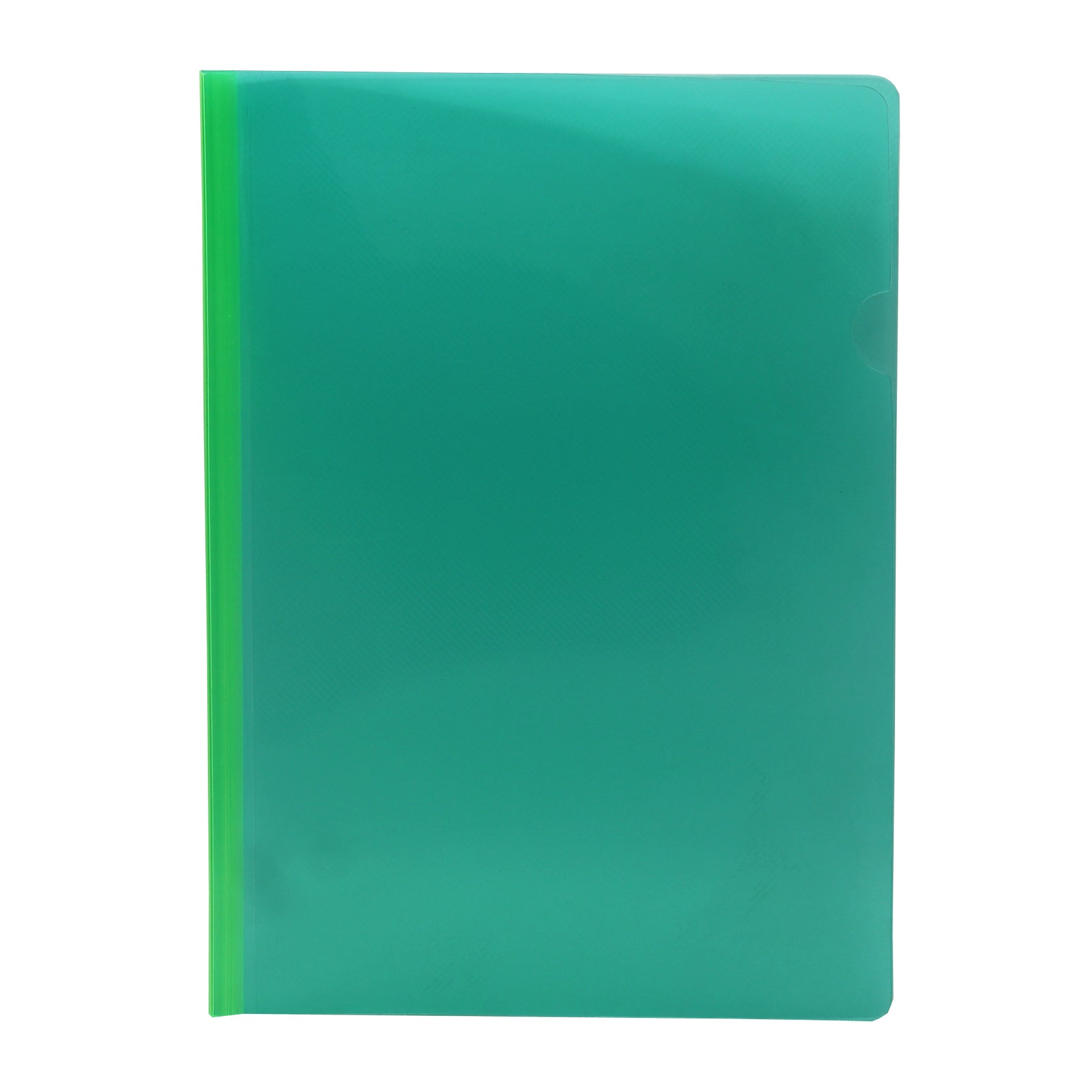 Keny Multi-Colour Crossline Strip File | Report File | A4 Size | Pack of 12