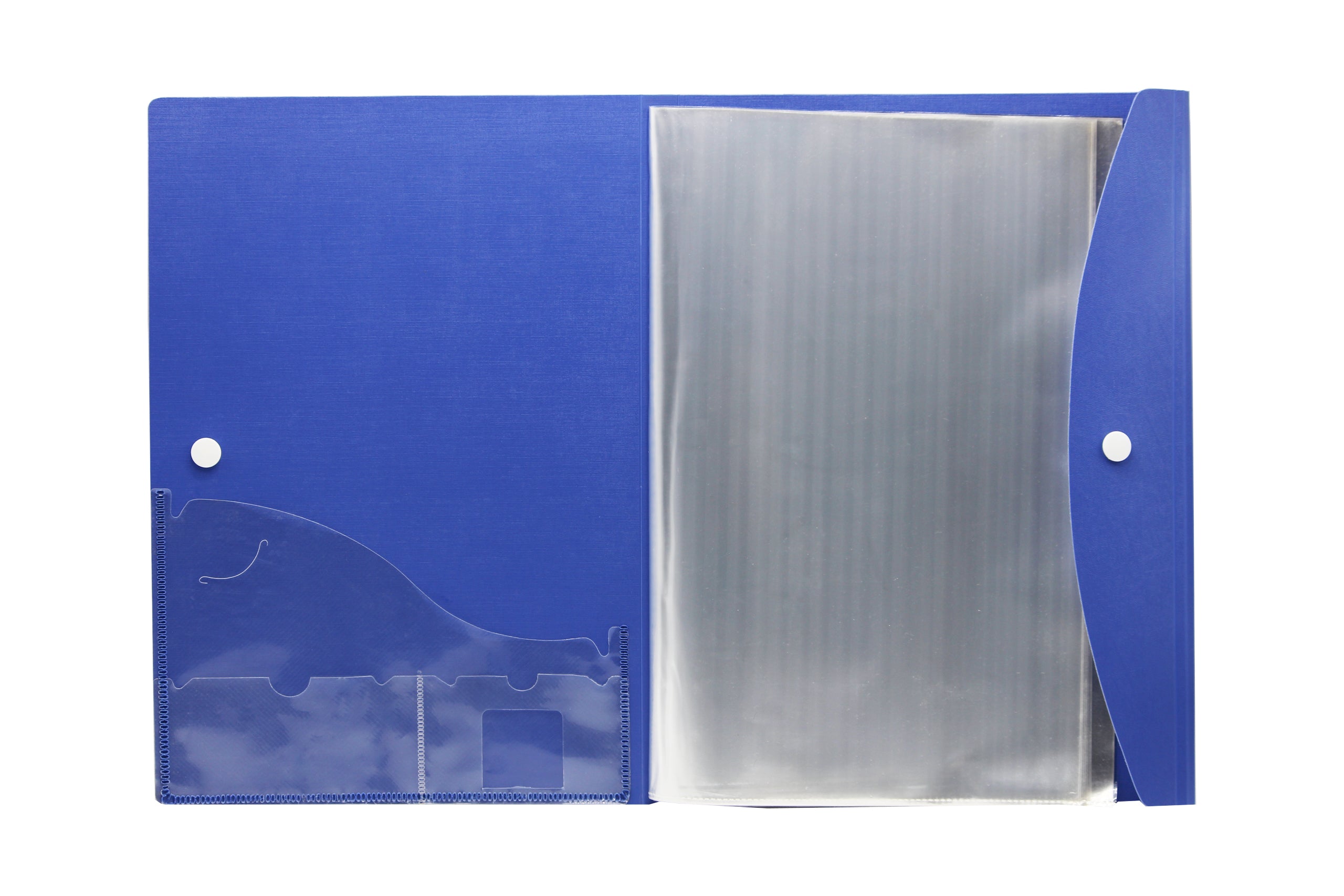 Eslee Multi-utility Trasparent Display File | 30 Pockets | A4 Size
