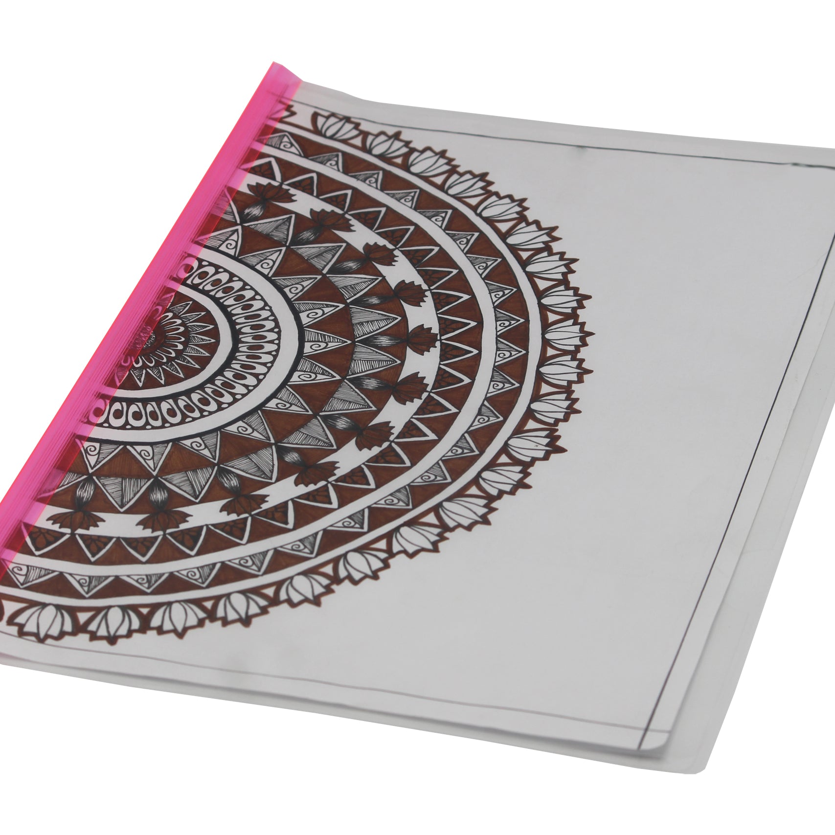 Keny Strip File | Thin Report Cover | A4 Size | Pack Of 12