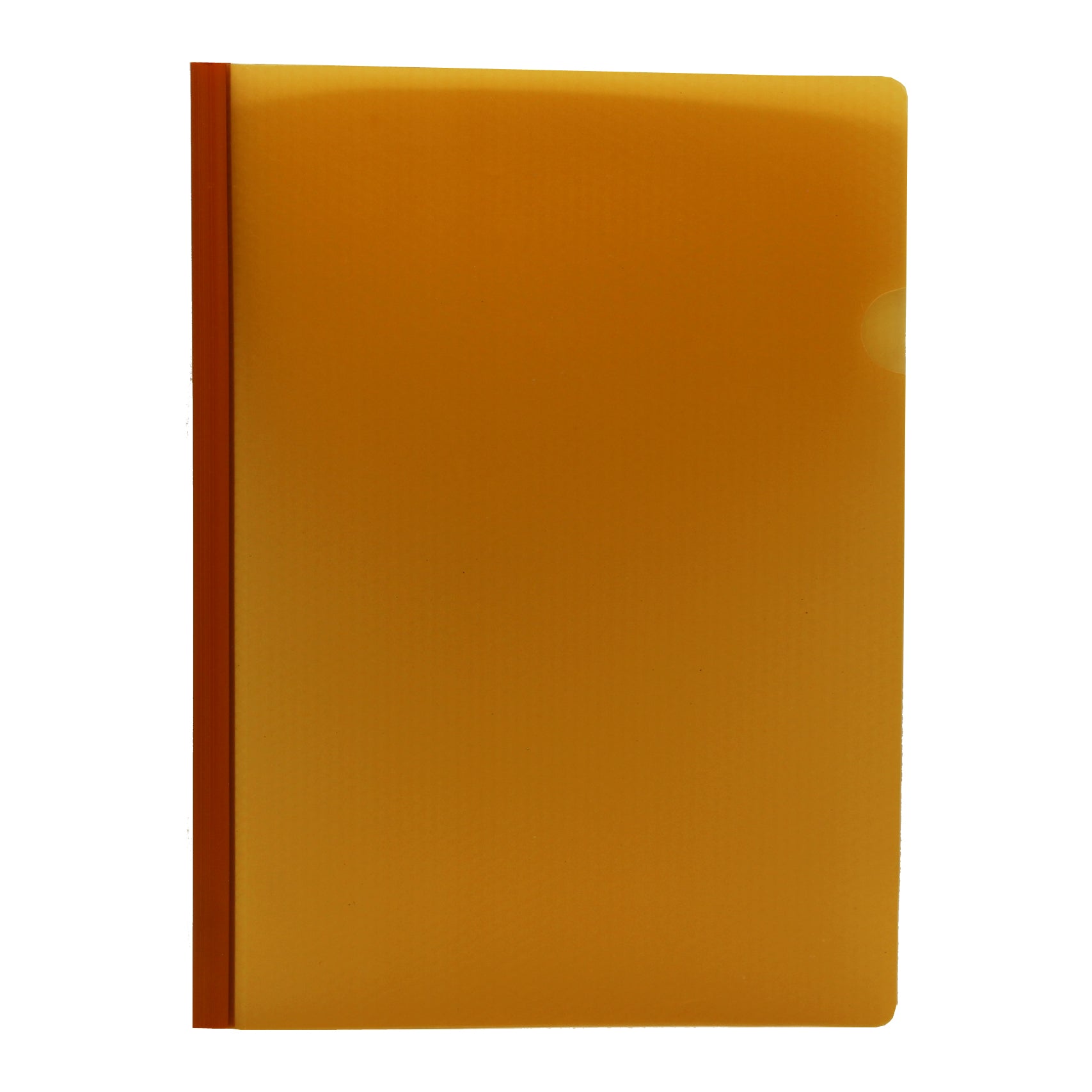 Keny  Diamond Strip File  |  Report Cover | A4 Size | Pack Of 12