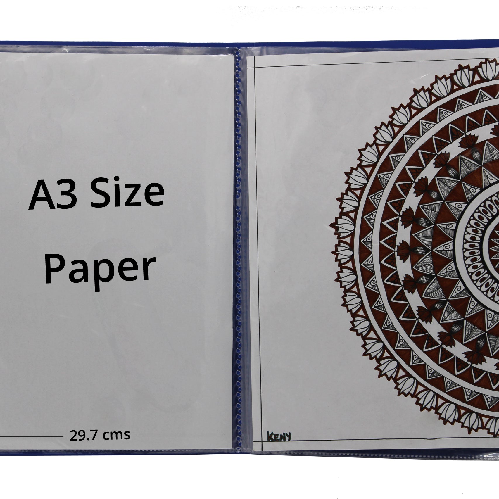 Keny Display File | 40 Pockets | A3 Size