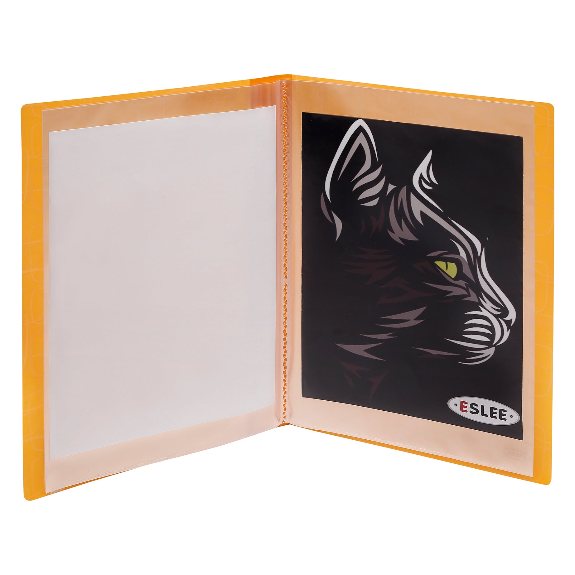 Eslee Square Cube Display File | 20 Pockets | FC Size