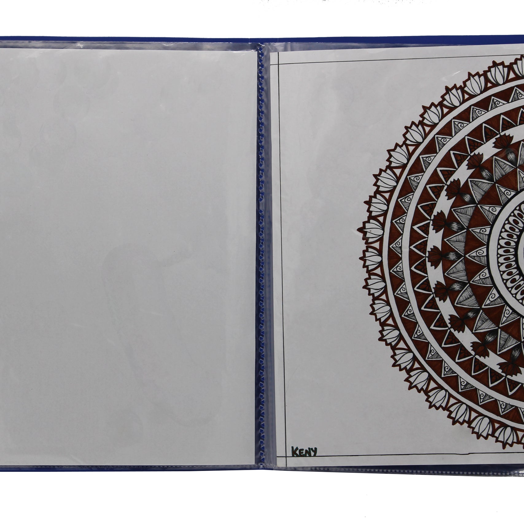 Keny Display File | 100 Pockets | A4 Size