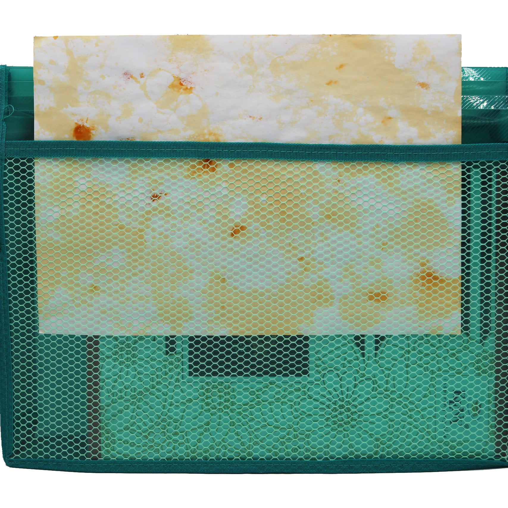 Keny Document Wallet With Net | Expandable Folder | FC Size