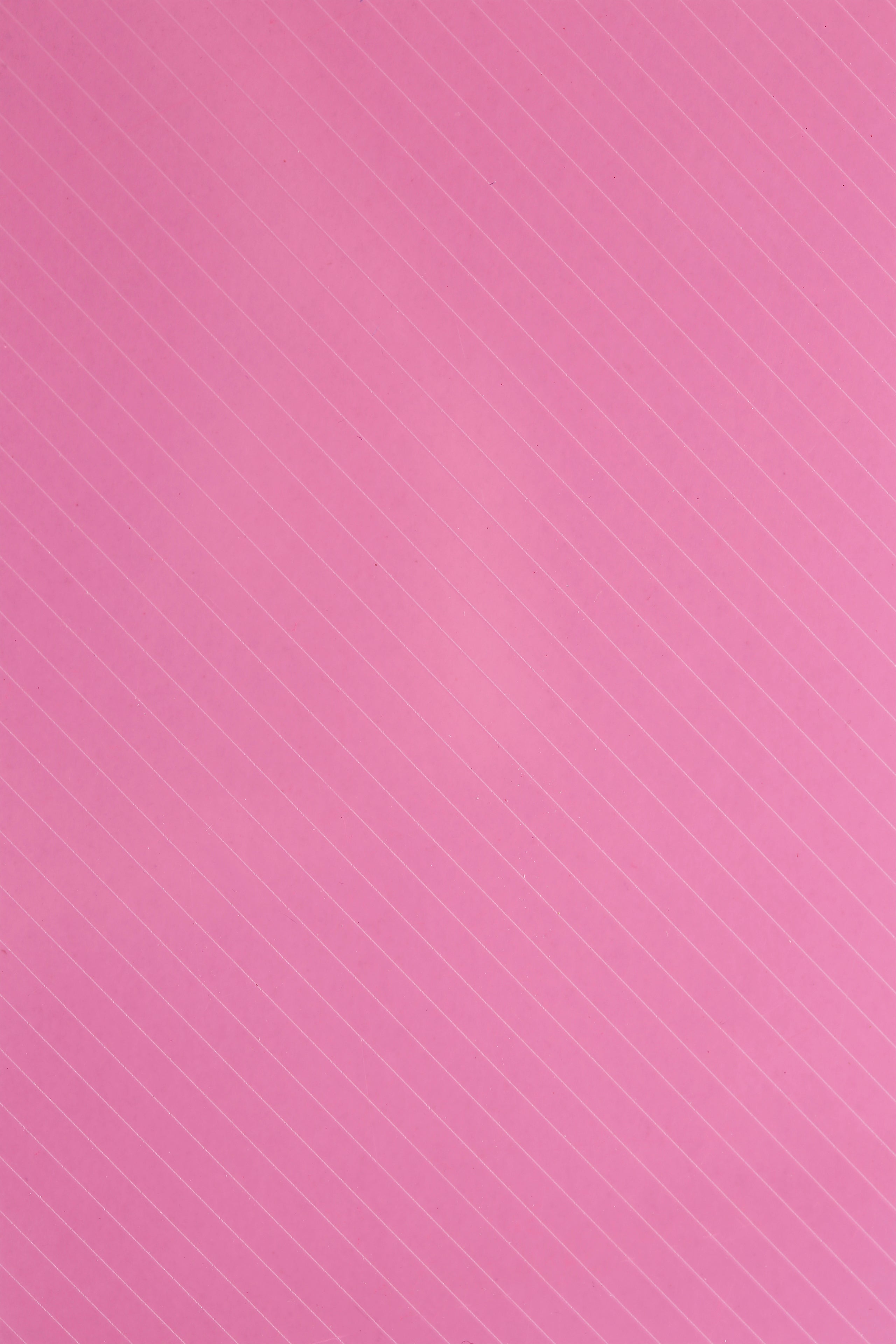 Eslee Crossline Punchless Big Clip File | A4 Size