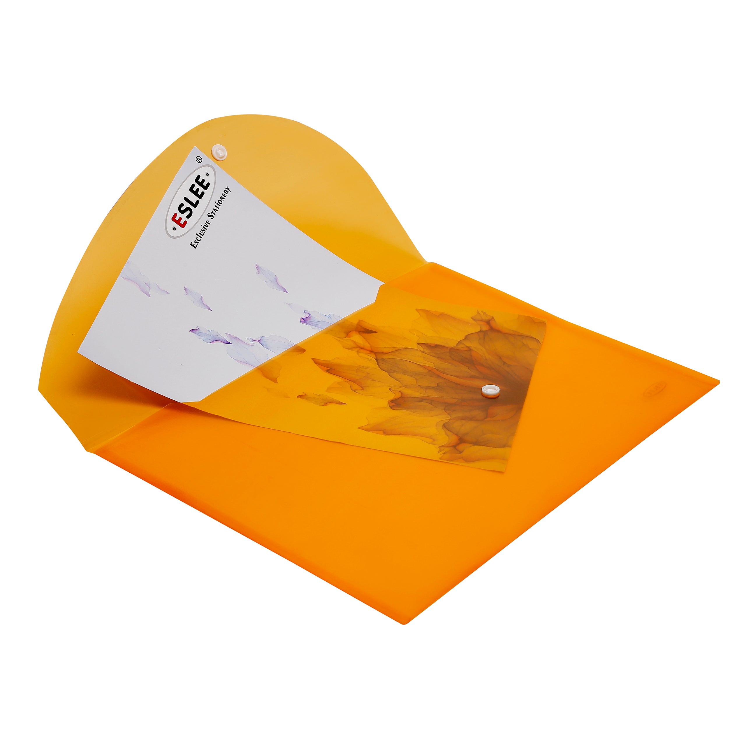 Eslee Transparent Envelope File | FC Size