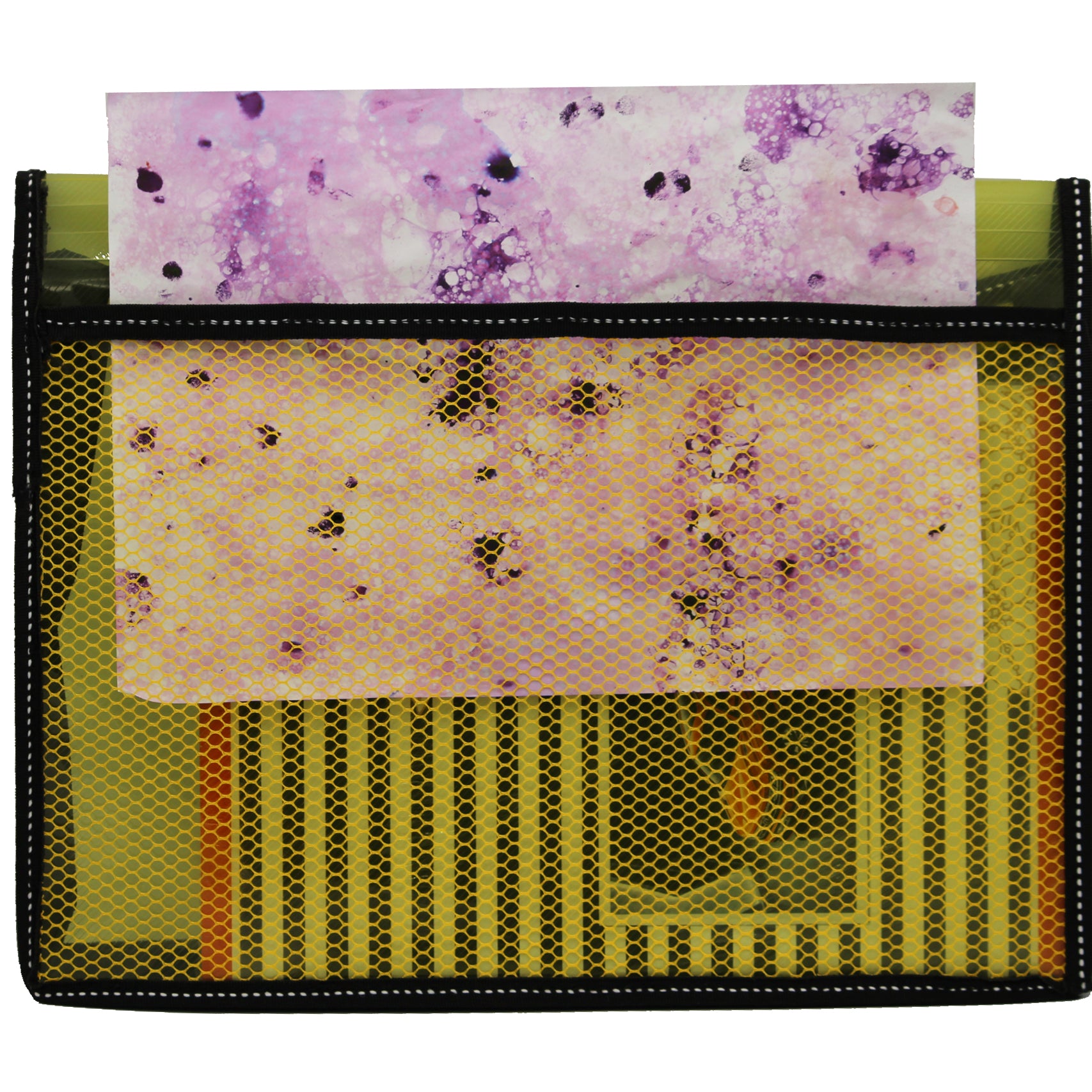 Keny Document Wallet With Net | Expandable Folder | FC Size