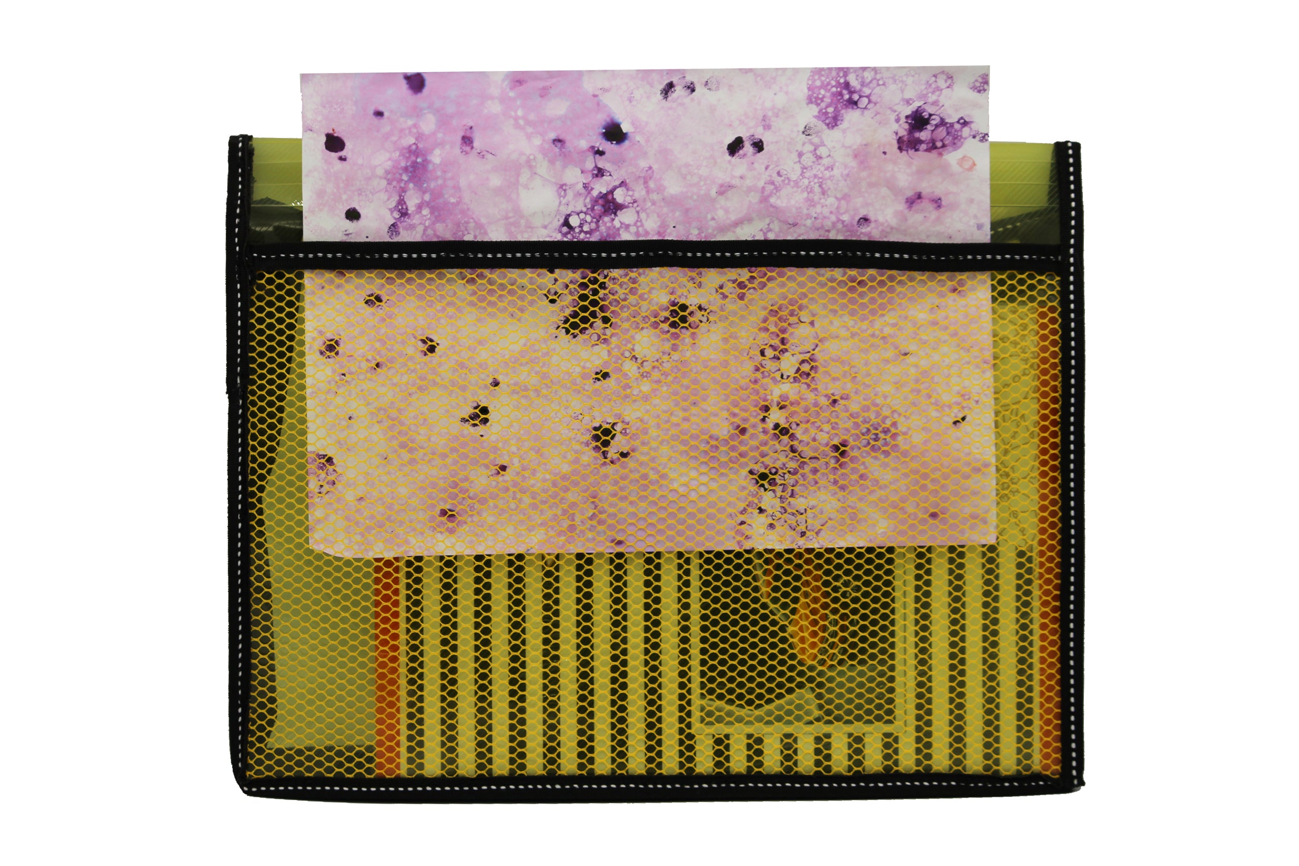 Keny Document Wallet With Net | Expandable Folder | FC Size