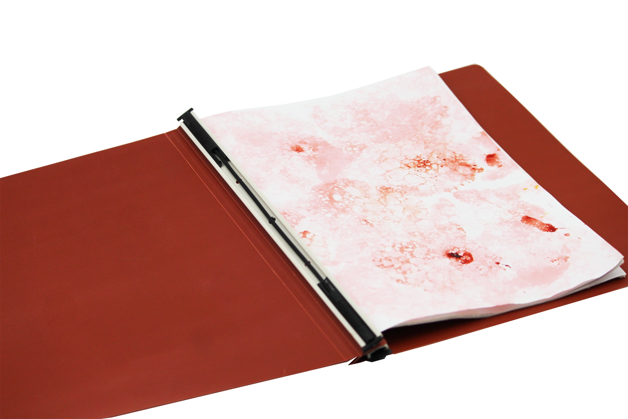 Keny Thick Computer  Data Binder File | Size 12 x 15 inches