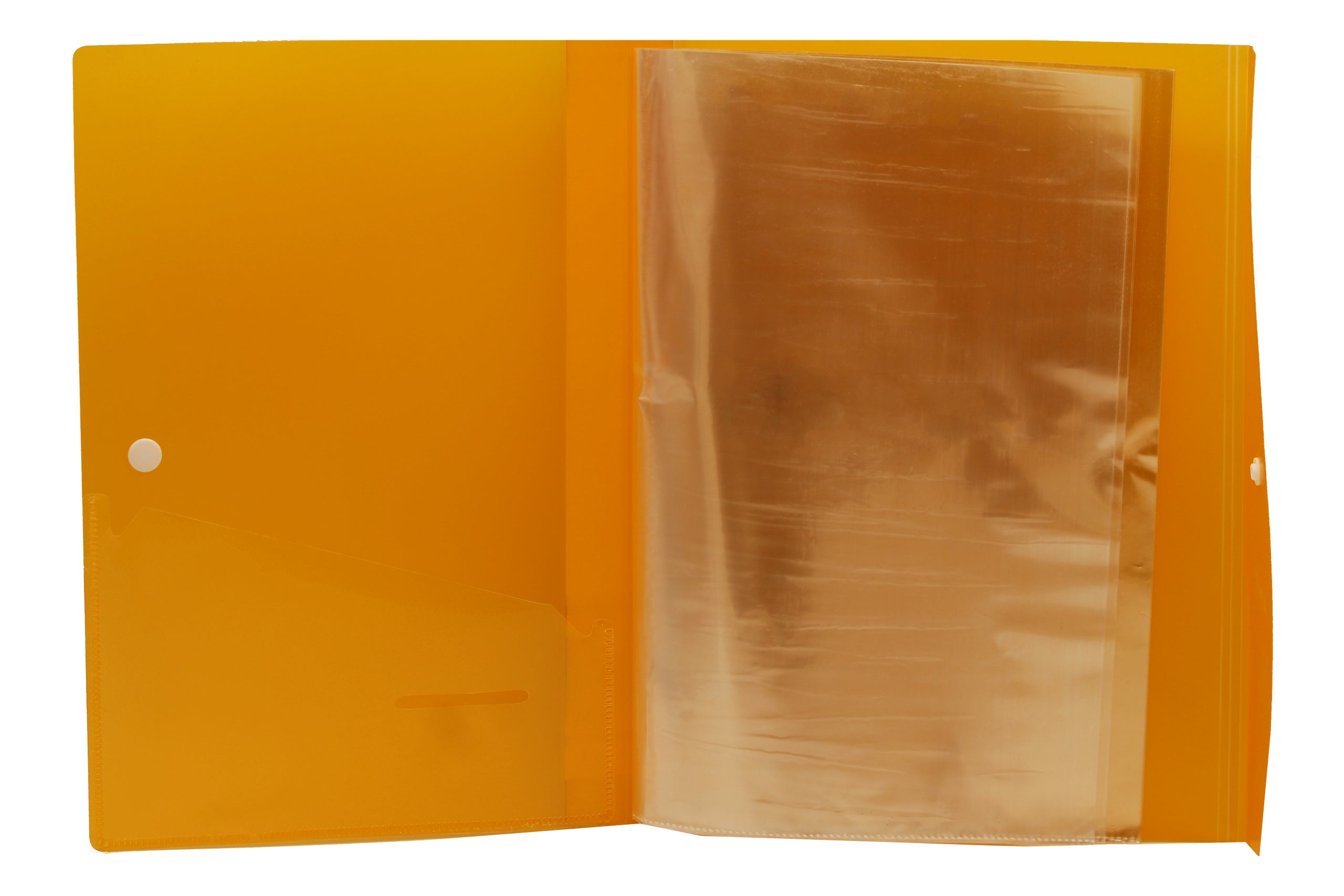 Eslee  Multi-utility Trasparent Display File | 40 Pockets | FC  Size