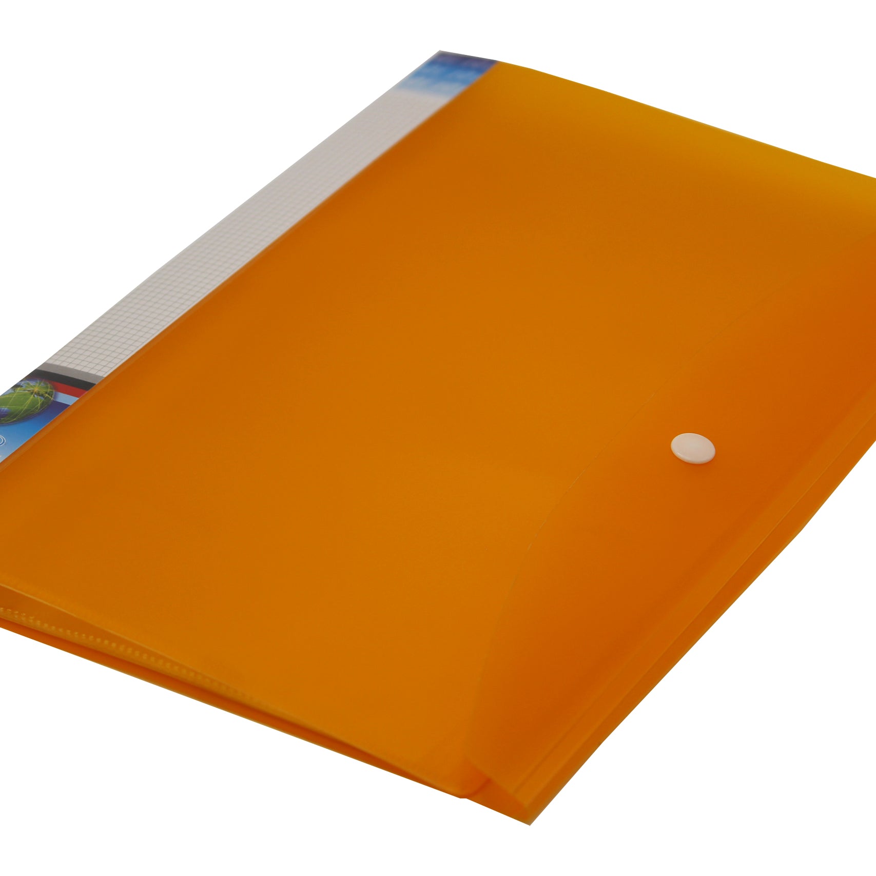 Keny Multi-utility Trasparent Display File | 20 Pockets | FC Size