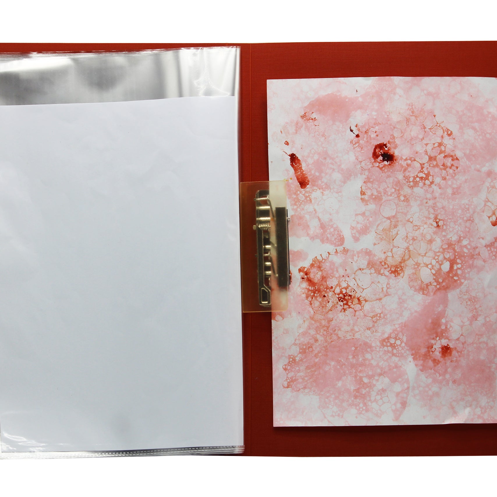 Keny Button Display File | Comes with Plastic Clip | 10 Folders