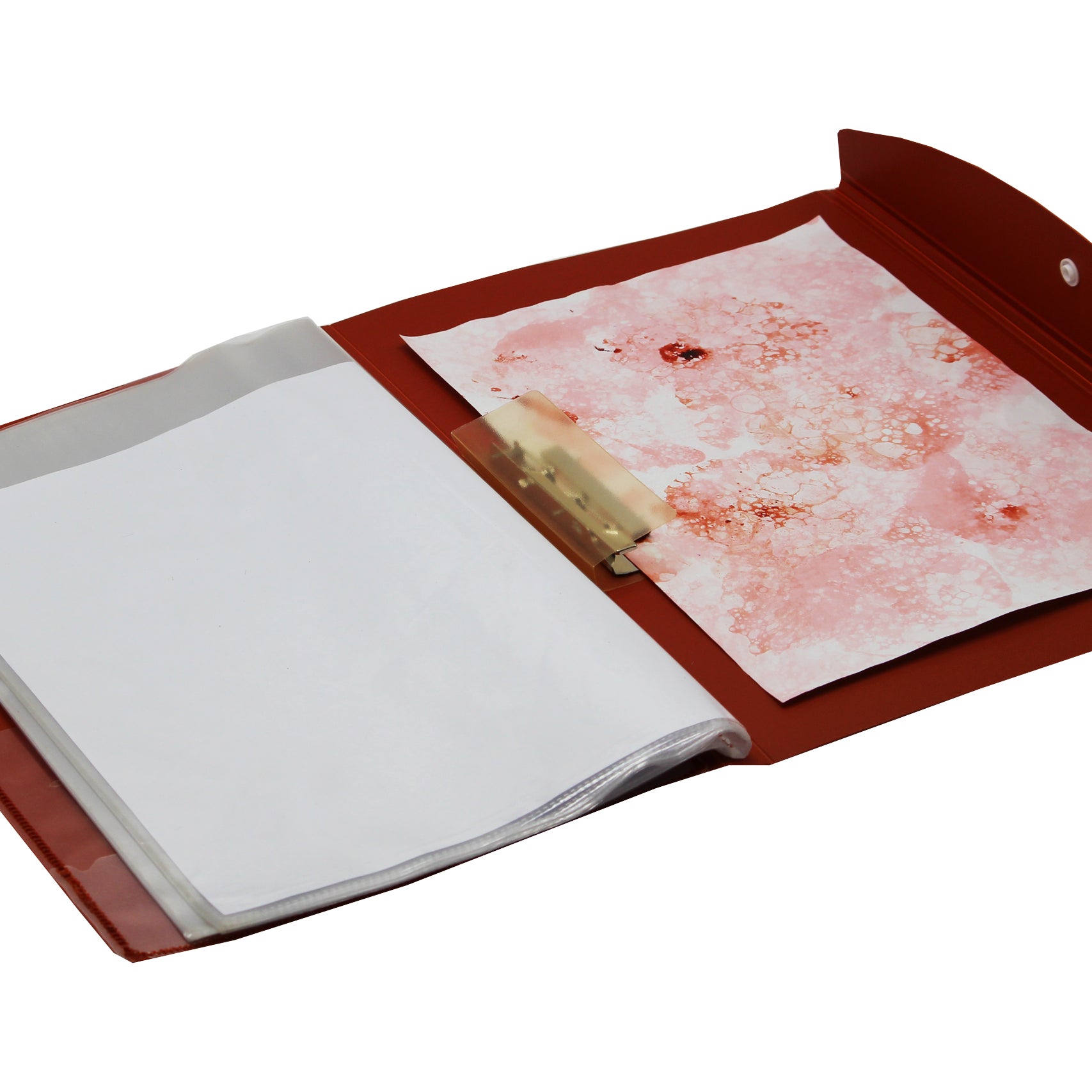 Eslee  Multi-utility Trasparent Display File | 10 Pockets | A4 Size