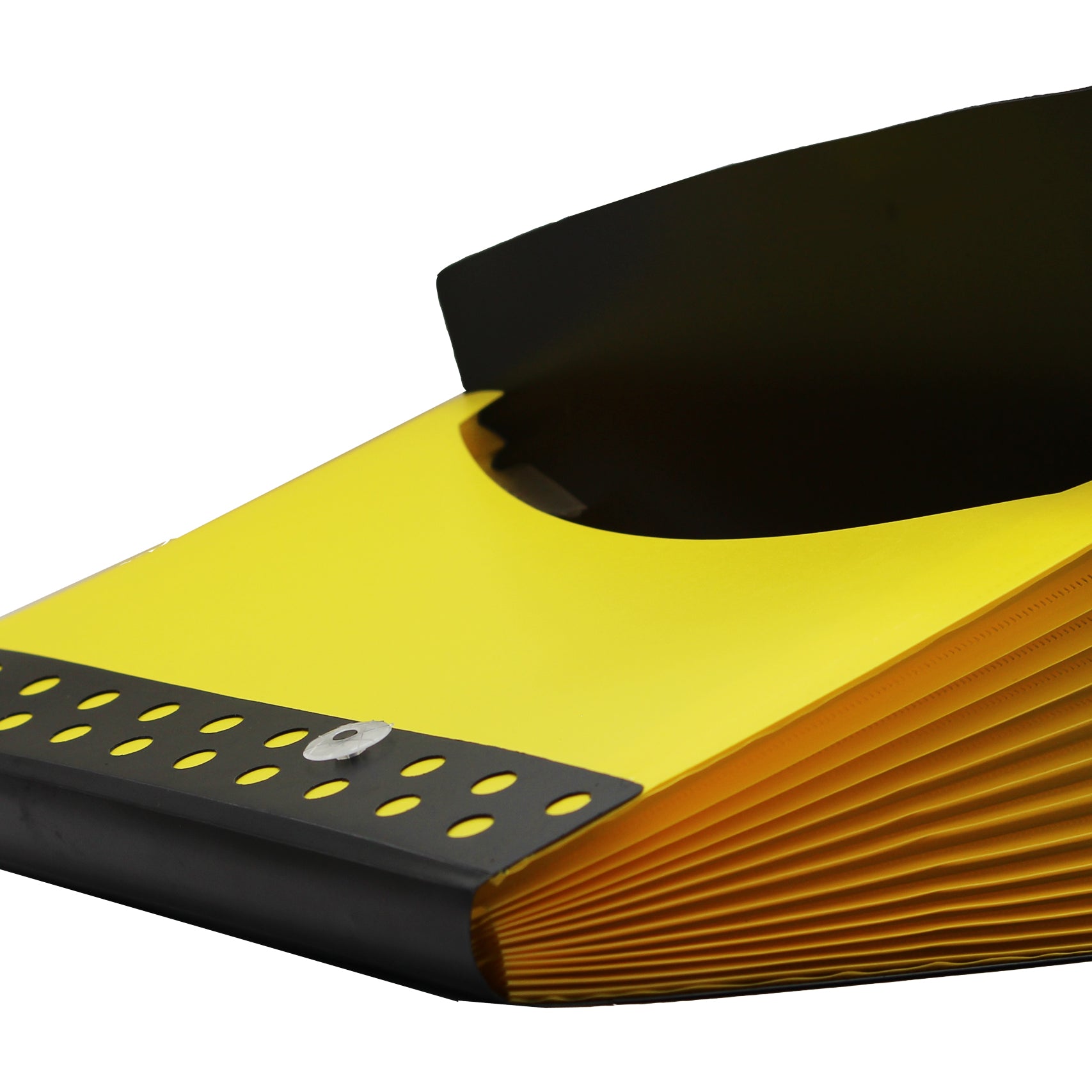 Keny Polka Dot Expanding File | Piano File with 13 Pockets | FC Size