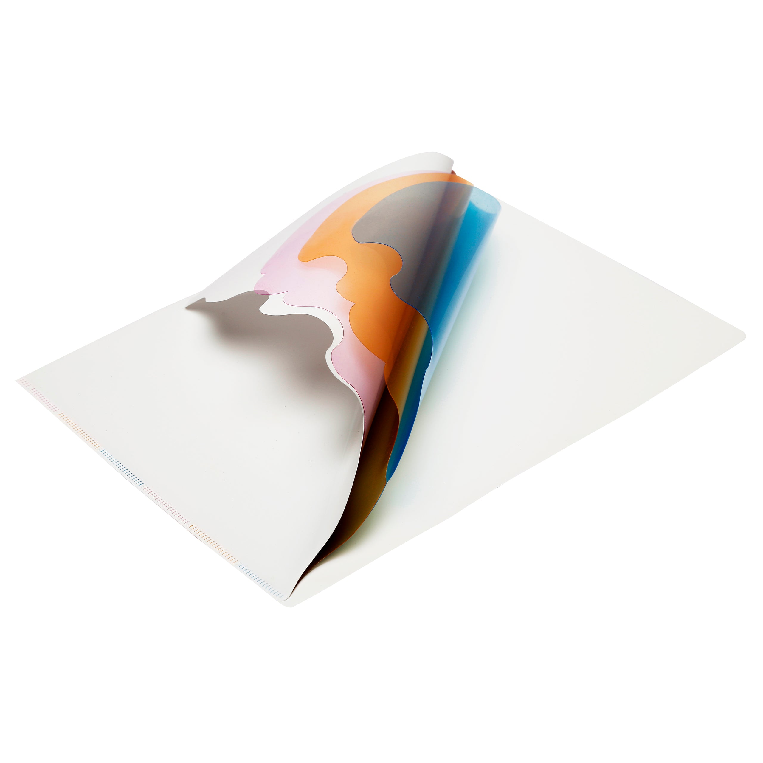 Eslee L Folder | Thin Jackets | 3 Subject Dividers | A4 Size | Pack of 10