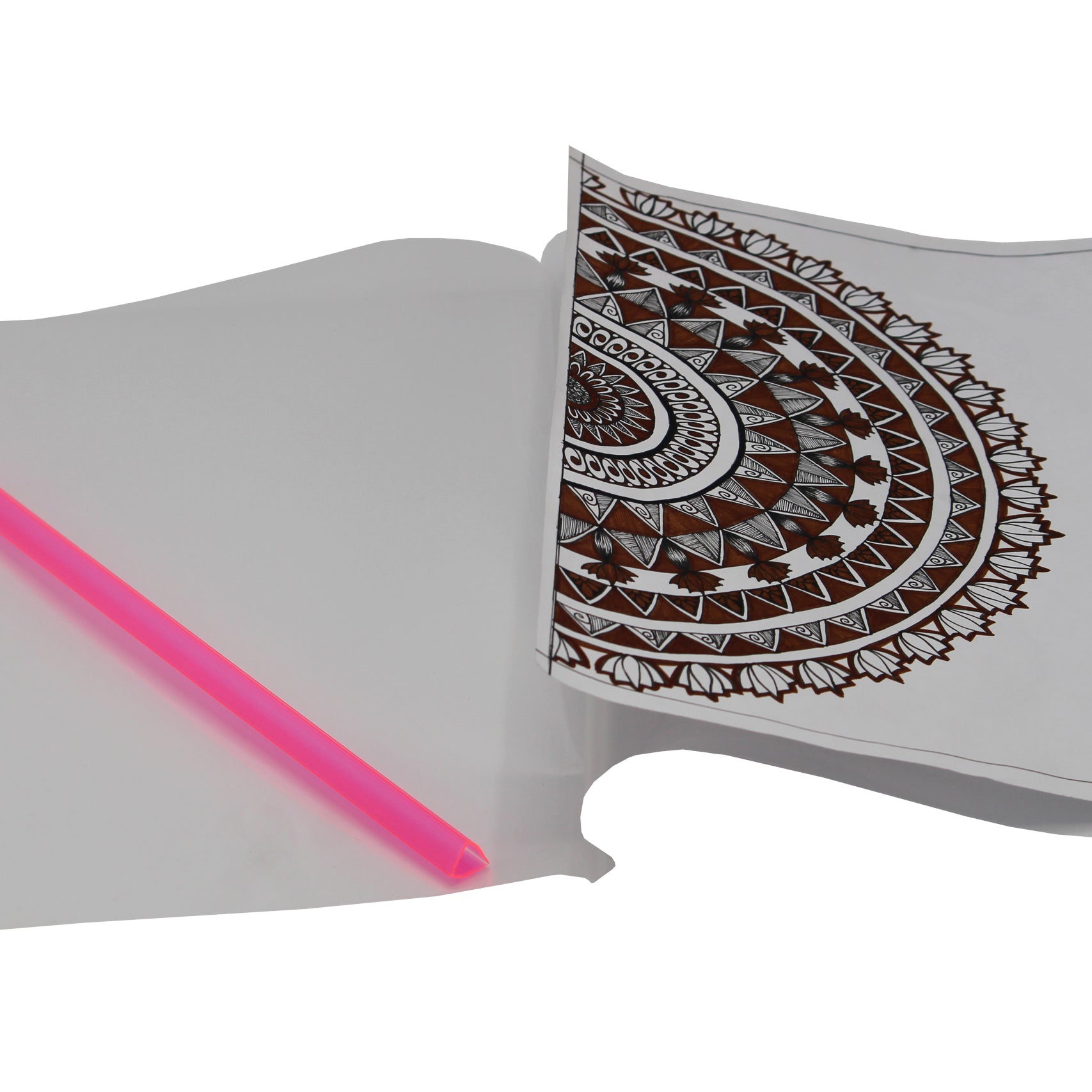 Keny Strip File | Report Cover | A4 Size | Pack Of 24