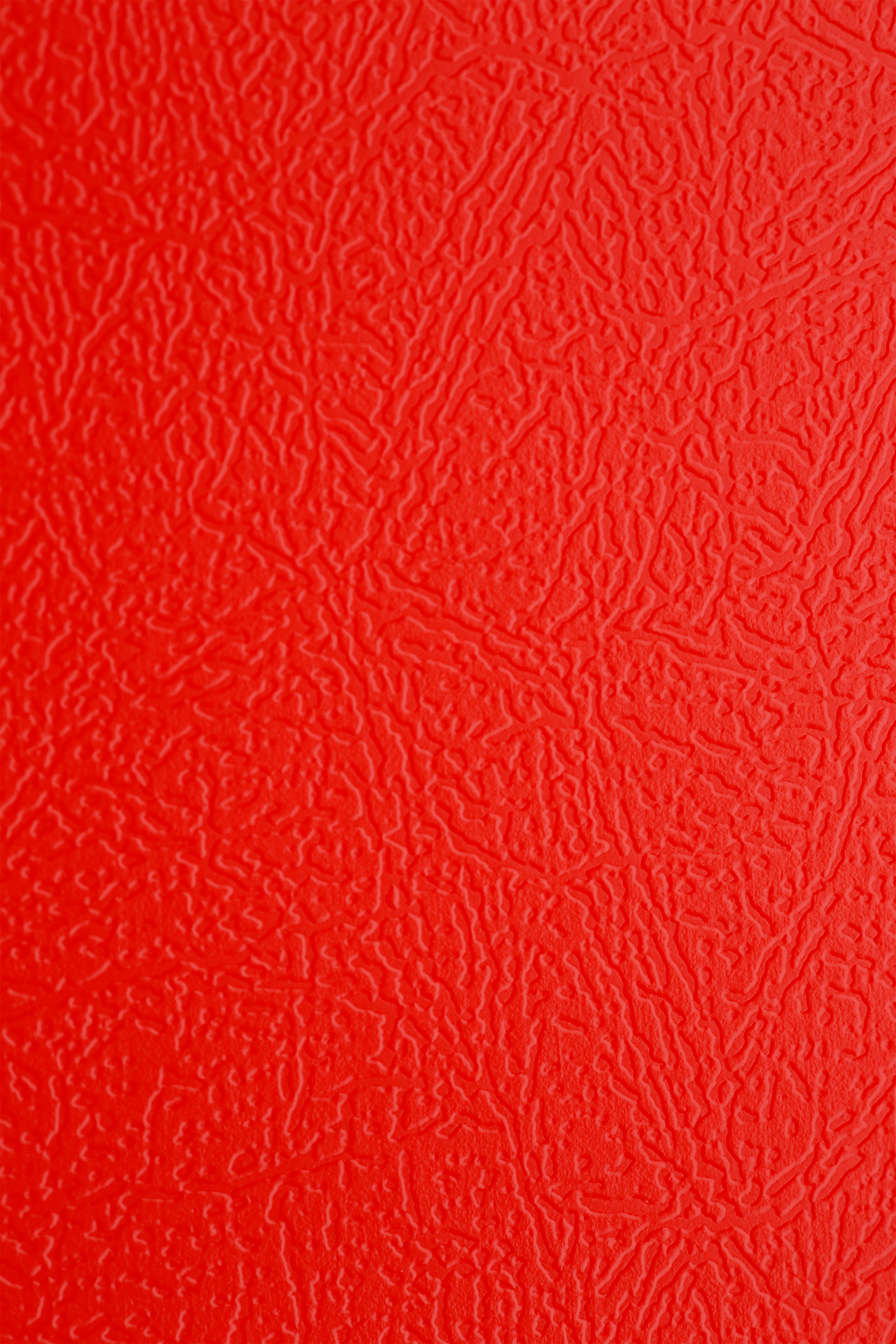 Eslee Display File | 30 Pockets | FC Size