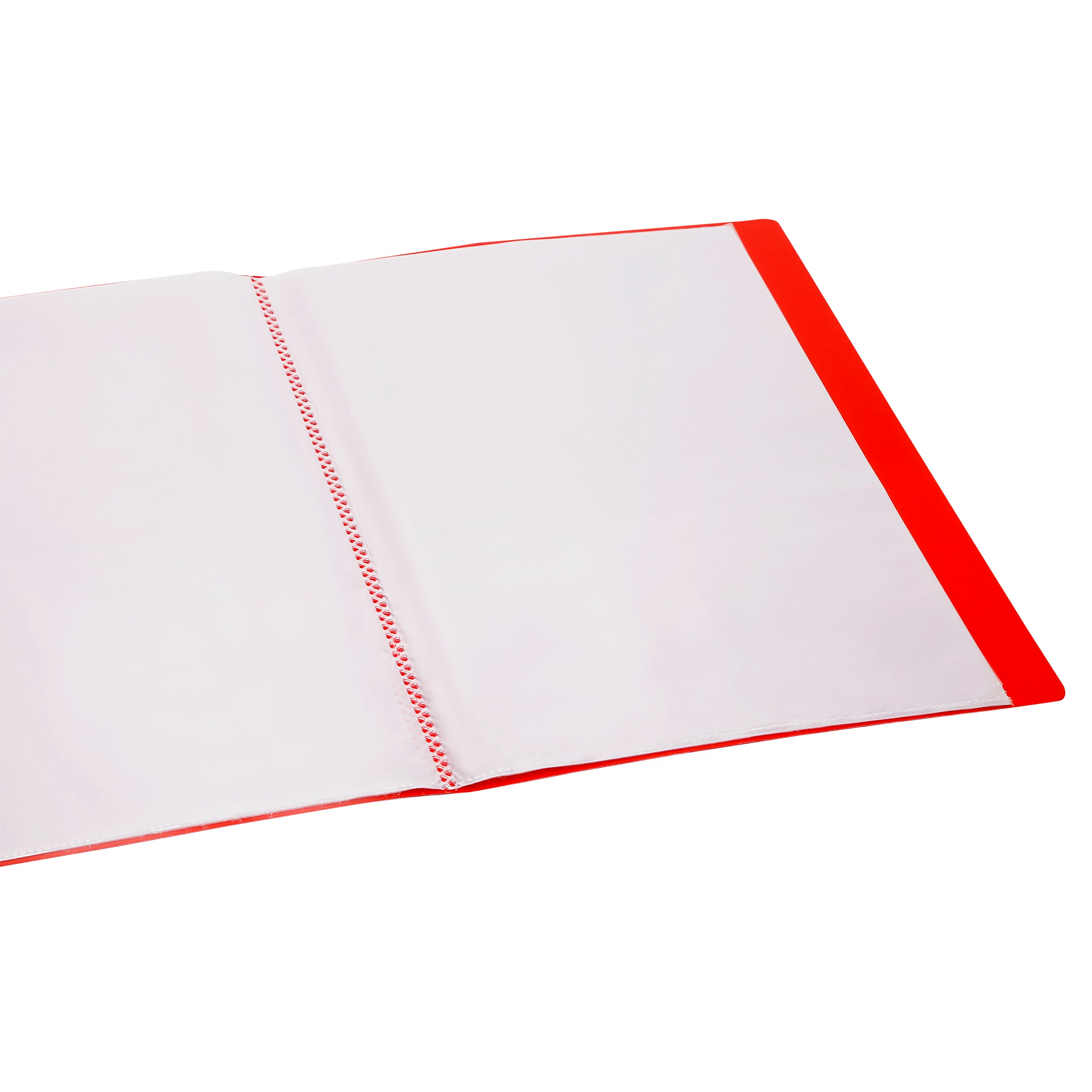 Eslee Display File | 100 Pockets | FC Size