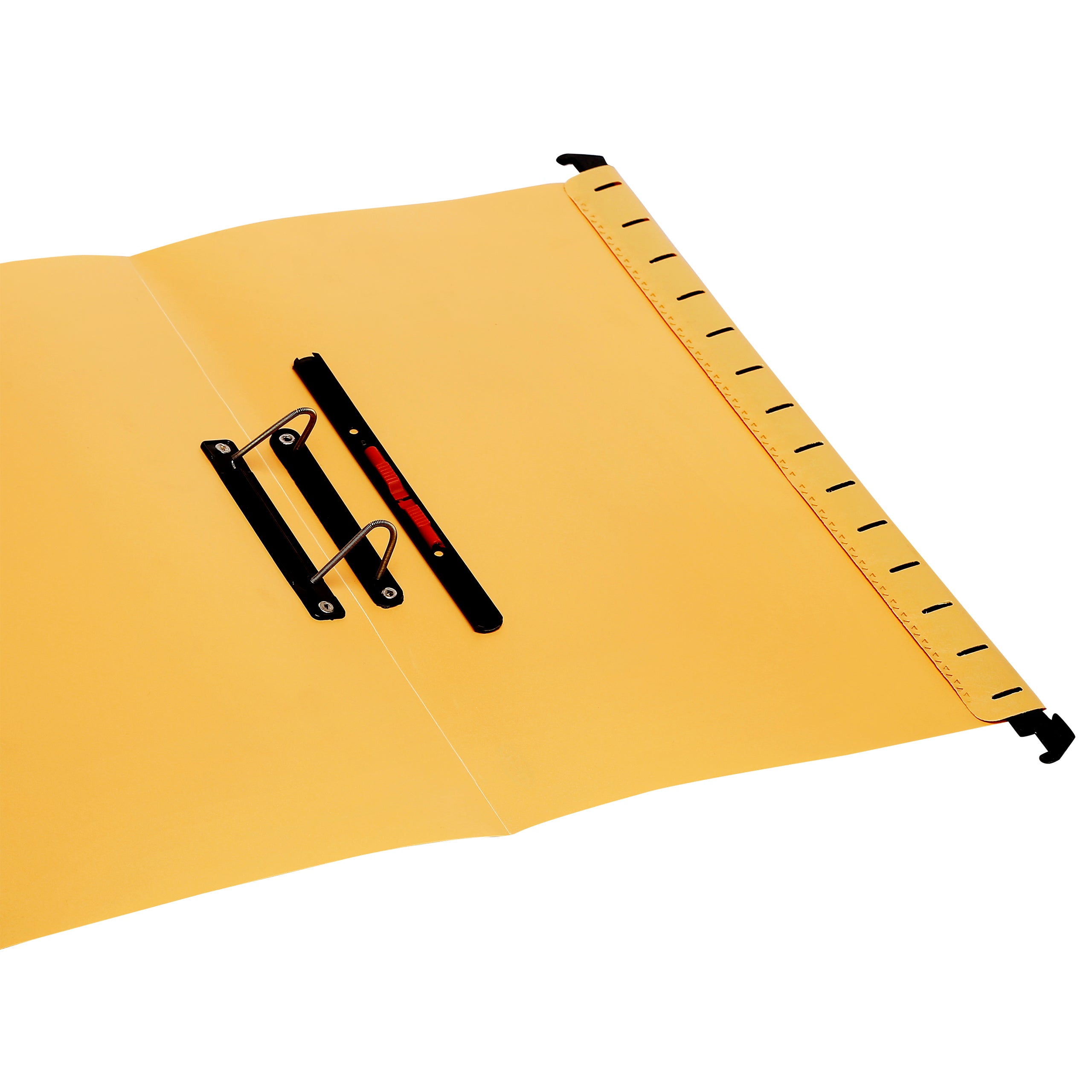 Eslee Cabinet Hanging File | Cobra-Clip | FC Size