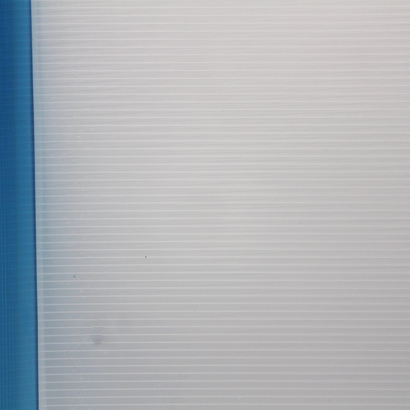 Keny Straightline Strip File | Report Cover | A4 Size | Pack of 10