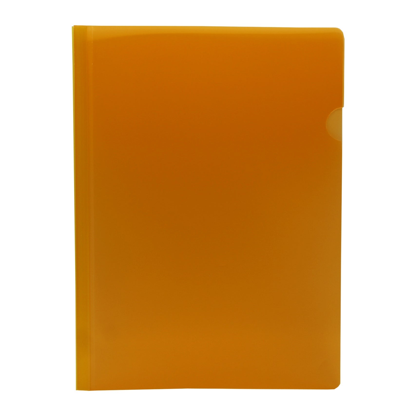 Keny Multi-Colour Suede Strip File | Report Cover | A4 Size | Pack of 12