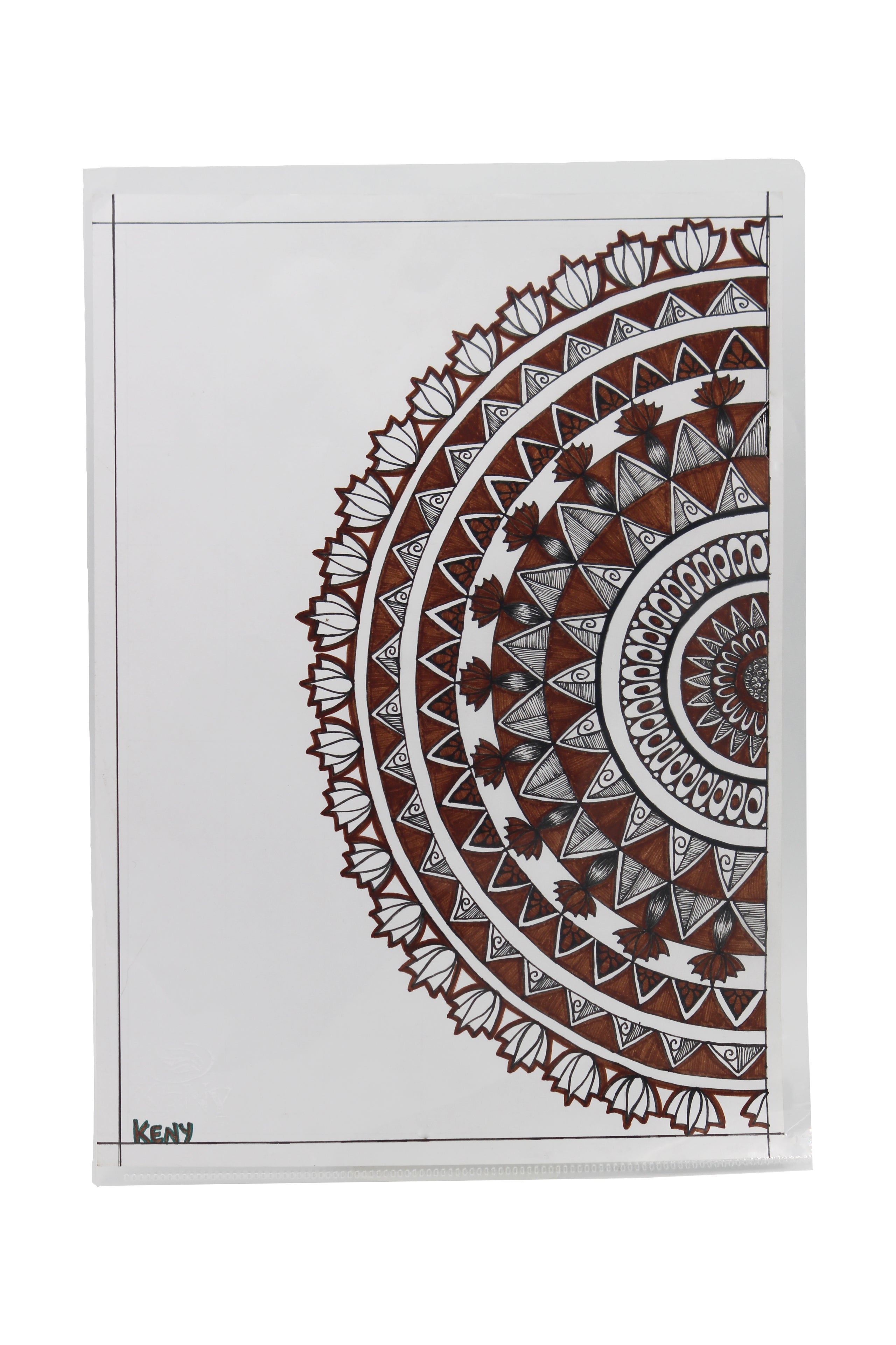 Keny L Folder | Standard Jackets | A4 Size | Pack of 20