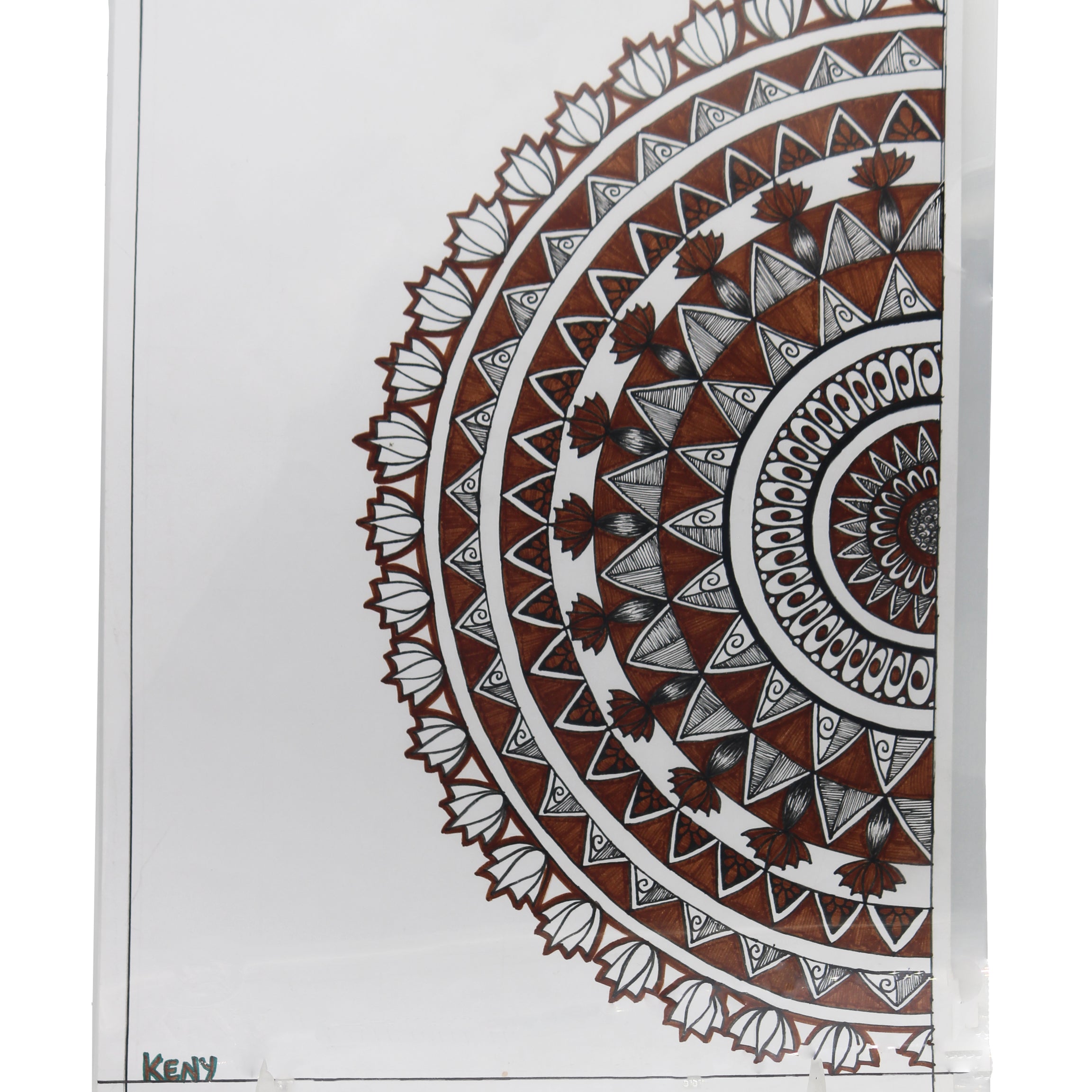 Keny L Folder | Standard Jackets | A4 Size | Pack of 20