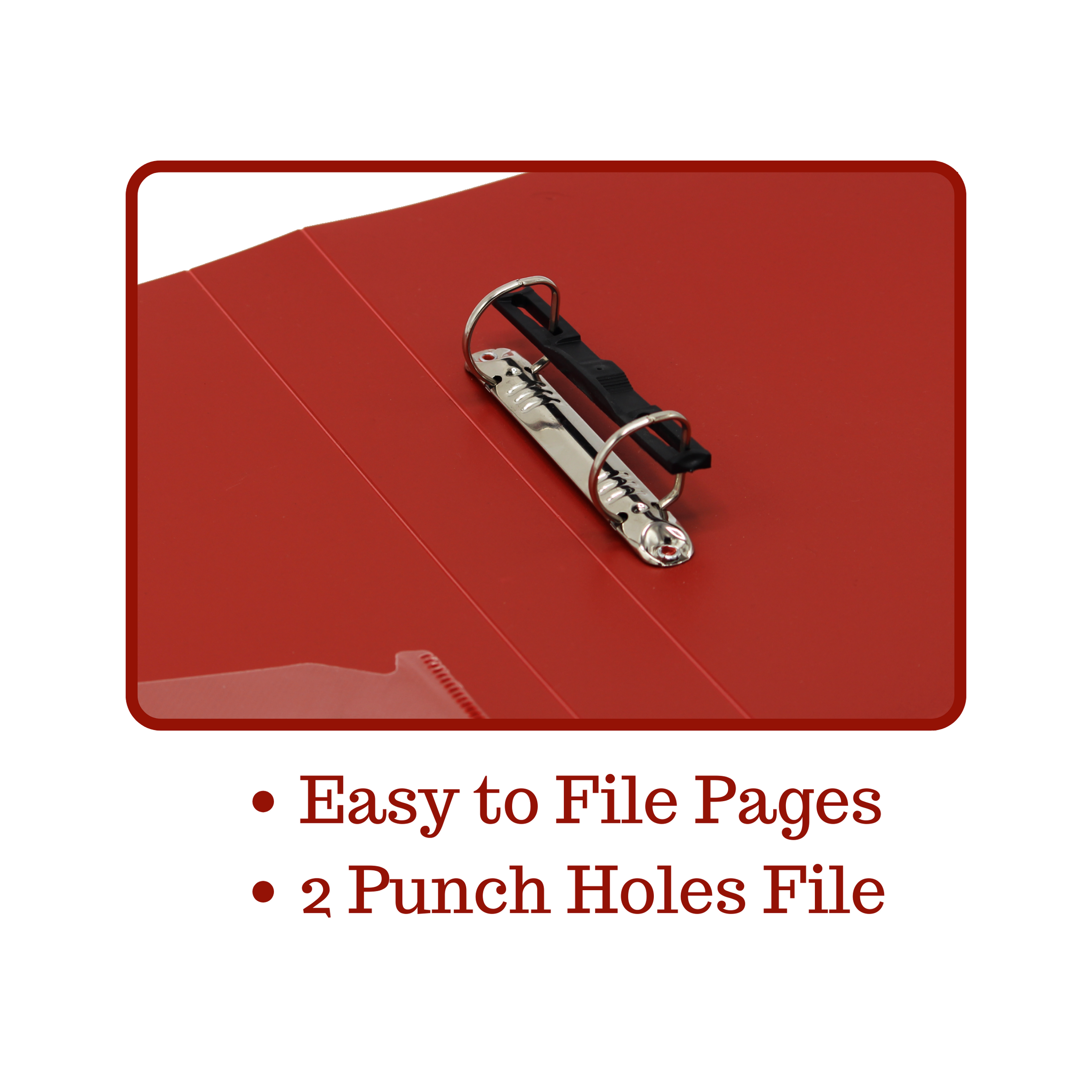 Keny Ring Binder File | 2D 25 mm Clip | Thin File | A4 Size