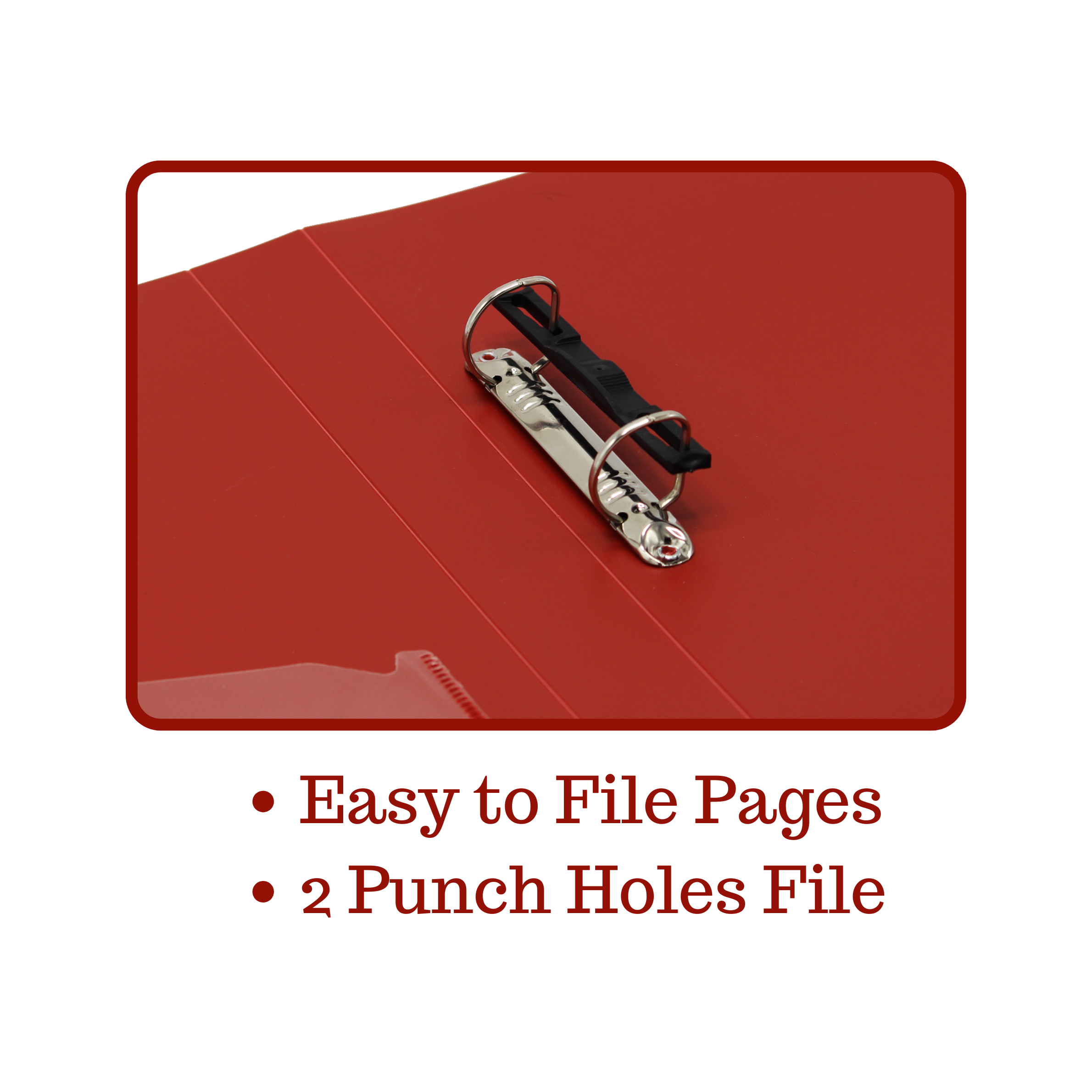 Keny Ring Binder File | 2D 25 mm Clip | Thin File | A4 Size